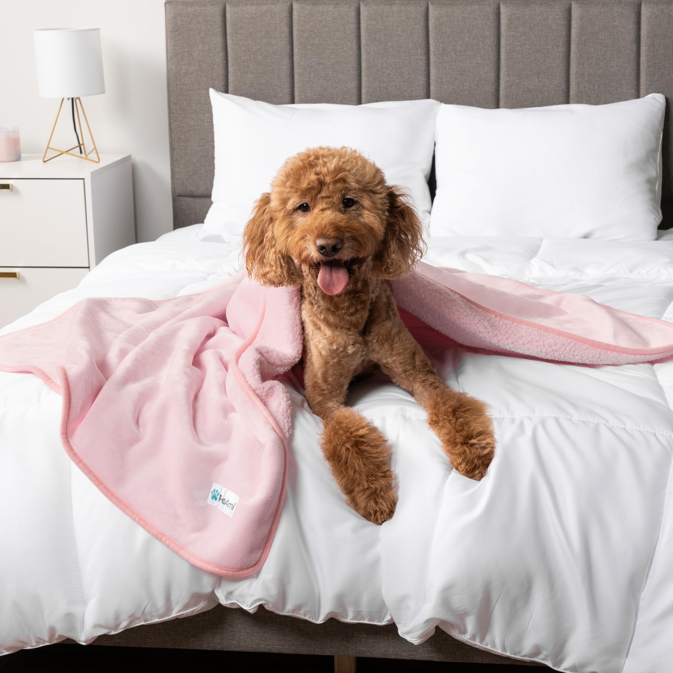 Petami Waterproof Dog Blanket For Medium Large Dogs, Pee Proof Pet Blanket For Bed Couch, Reversible Water Proof Blanket For Puppy Indoor Cat, Soft Dog Pee Crate Cover Washable, 60X80 Pink