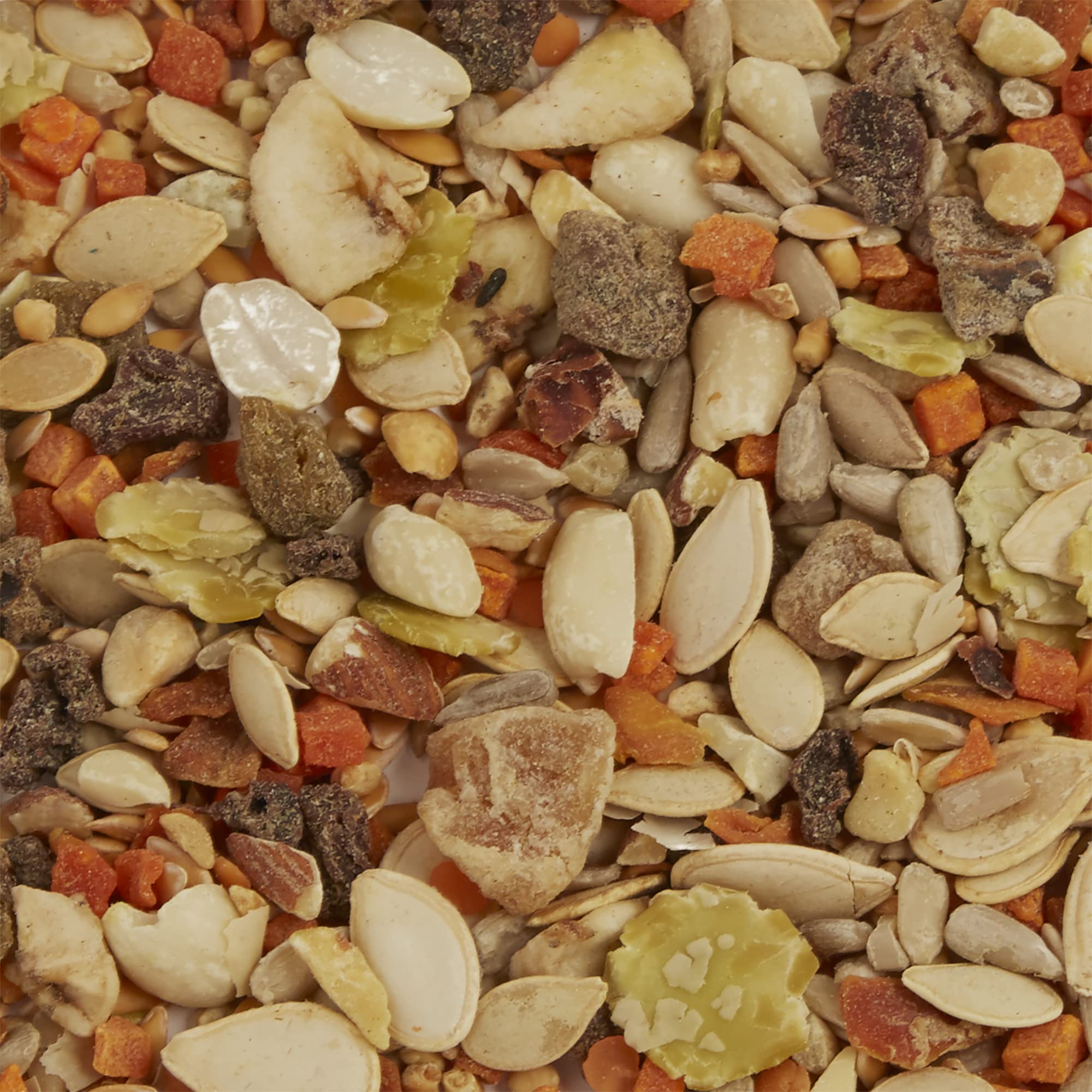 F.M. Browns Tropical Carnival Fruit and Nut Cockatiel Treats - Fruits, Nuts, Seeds and Veggies - 8 oz