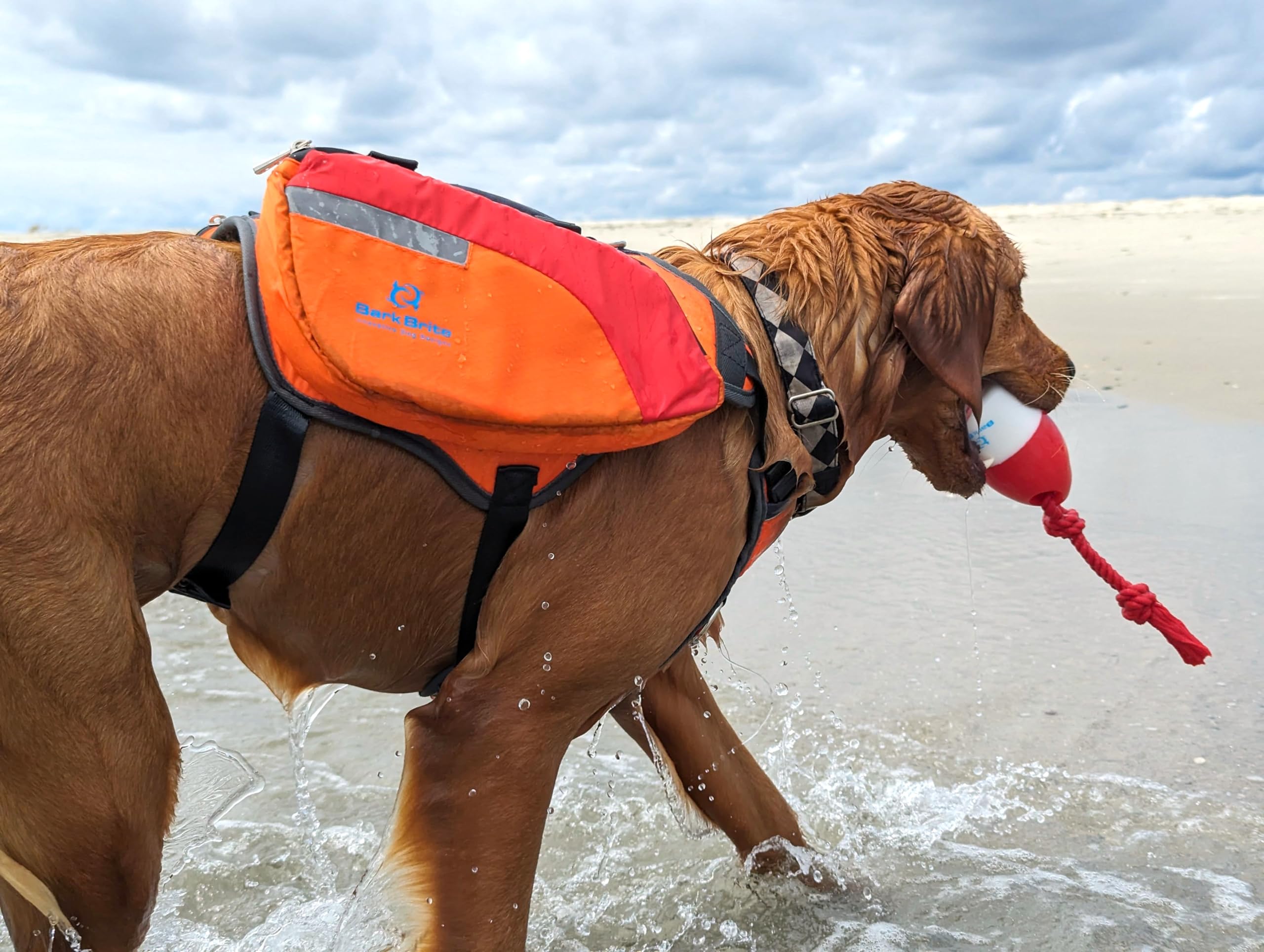 Bark Brite Multi-Purpose Dog Backpack Life Jacket - Medium, Orange/Red/Grey, Durable Material