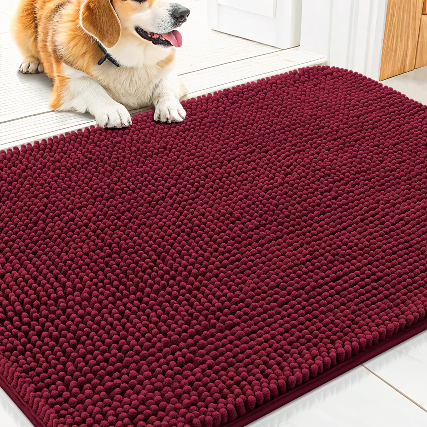 Smiry Dog Door Mat for Muddy Paws 30x20, Absorbs Moisture and Dirt Doormat, Non-Slip Washable Quick Dry Chenille Front Door Mat 