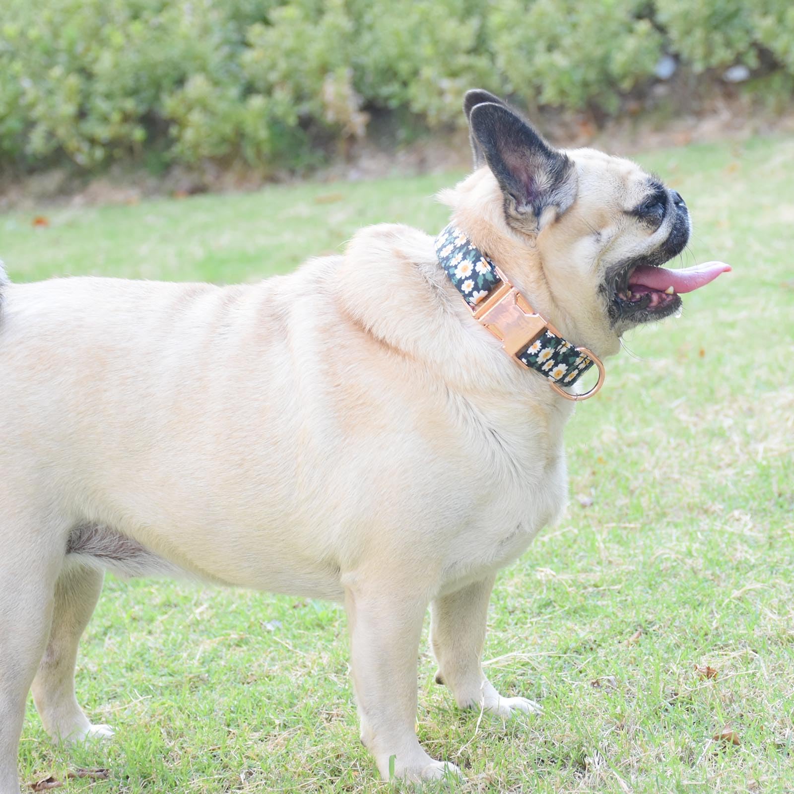 Metal Buckle Dog Collar, Durable Adjustable Dog Collar Soft For Small Medium Large Dogs (001-Black Flower, L(15-23In)