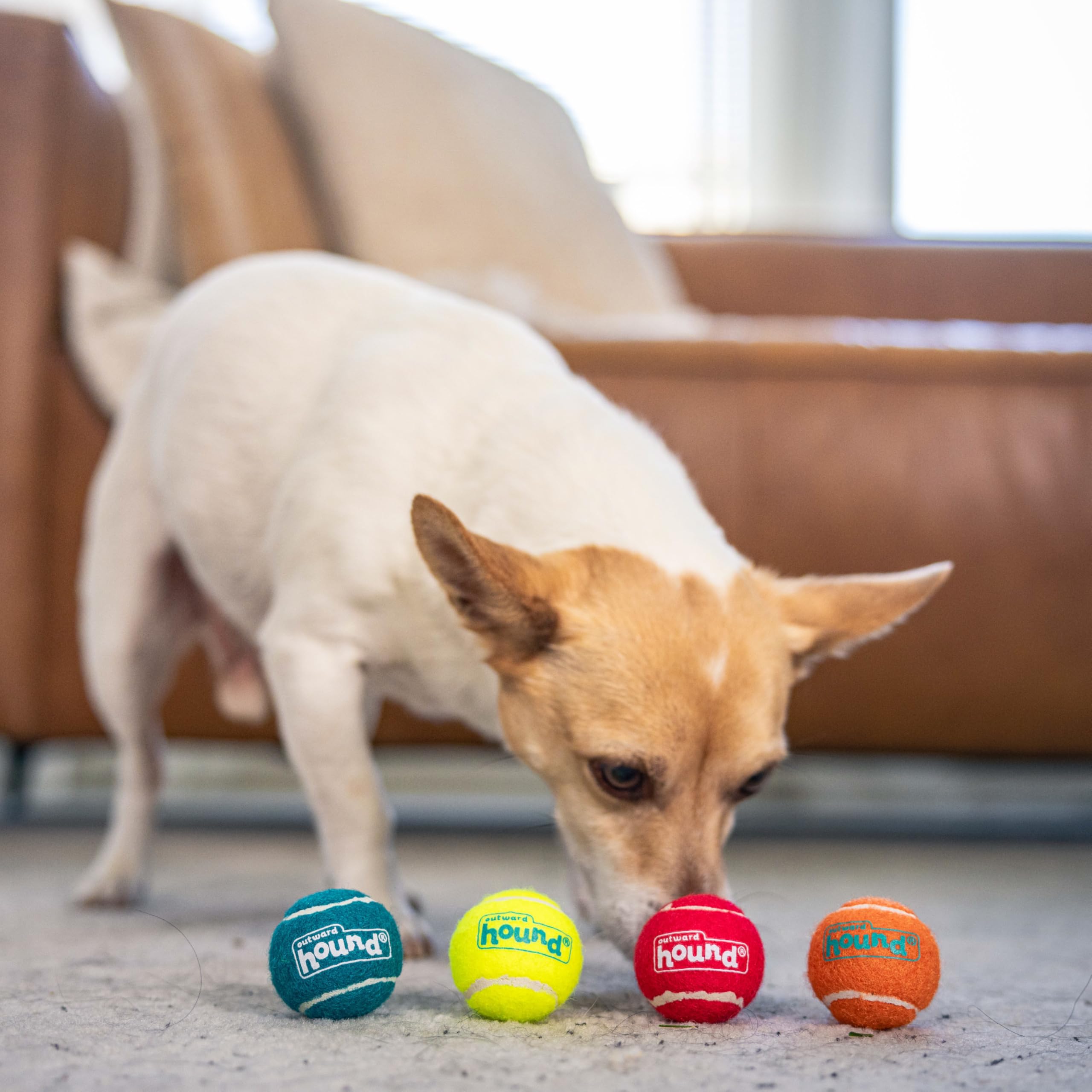 Outward Hound Squeaker Ballz Fetch Dog Toy, Xs - 4 Pack