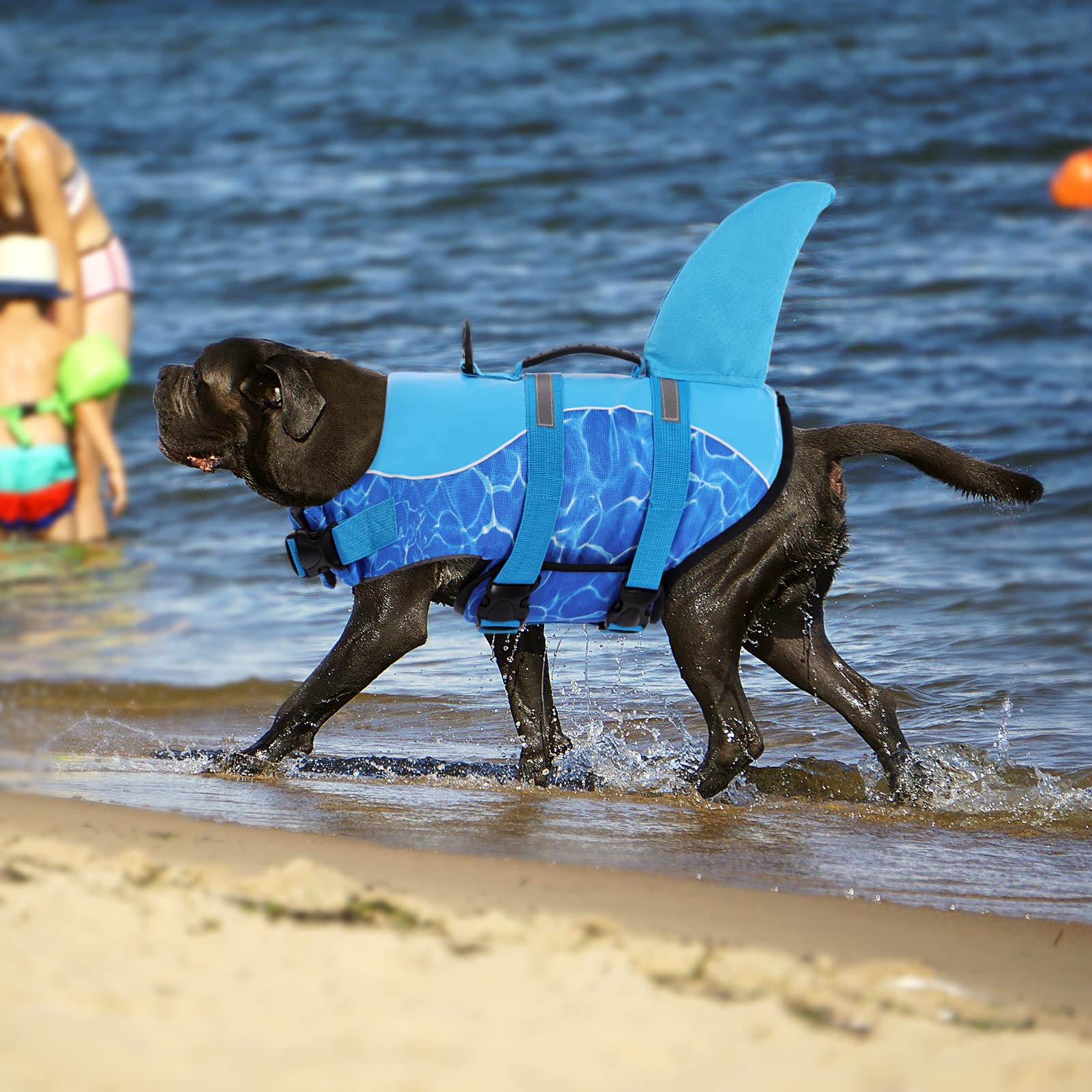 Queenmore Shark Dog Life Jacket For Swimming, High Buoyant Adjustable Vest For Dogs (Blue, L)
