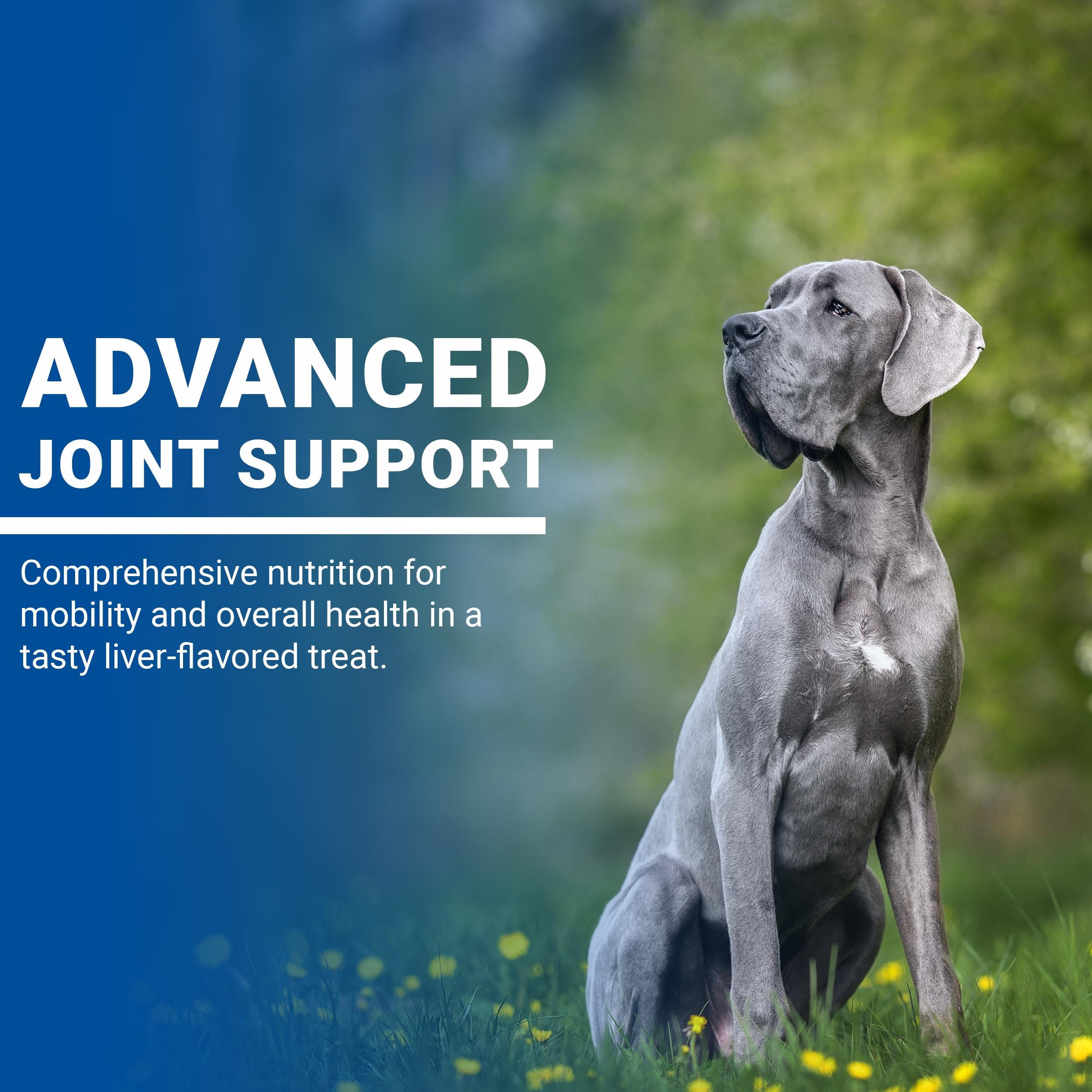 CLASSIC VPS SynovialMax Hip & Joint Soft Chews for Dogs, 60 count