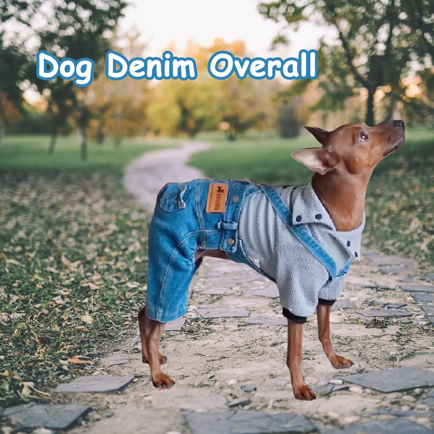 Fladorepet Classic Dog Denim Jumpsuit Overalls,Dog Pet Cat Jeans Pants Clothes,Puppy Cowboy Costumes Outfits For Chihuahua Yorki
