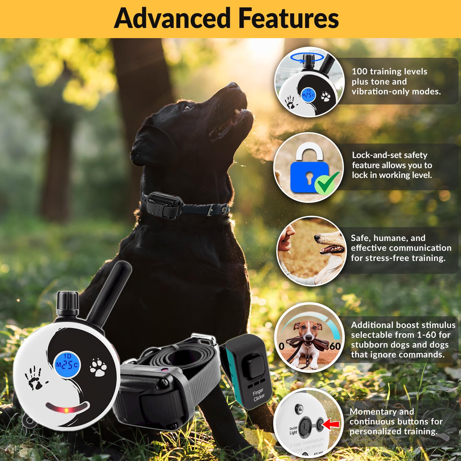 Educator E-Collar Remote Dog Training Collar - Waterproof, 100 Levels, Vibration, Light, Sound - Zen Color, Model ZEN-300-C, 1 Dog