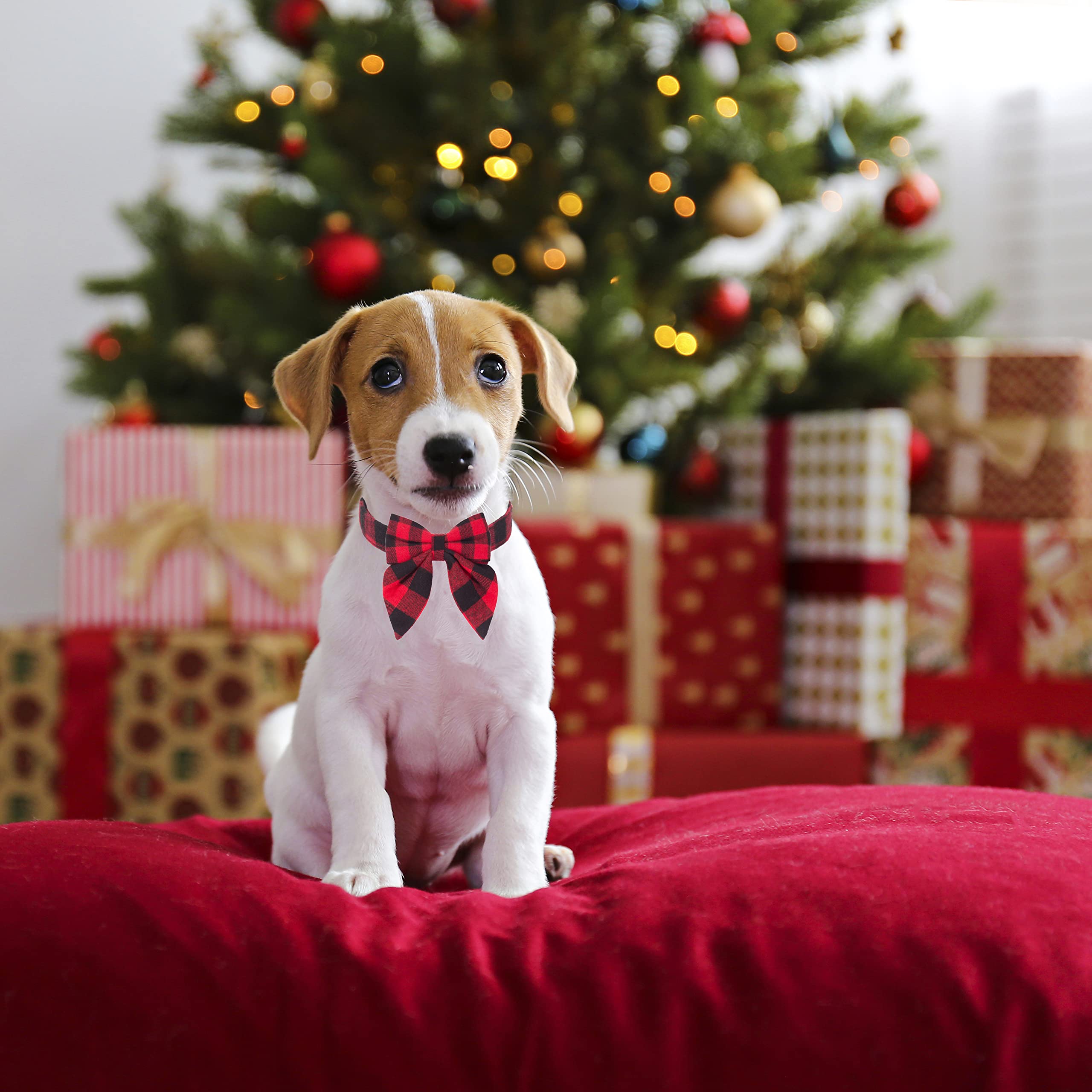 Adoggygo Christmas Dog Collar With Bow, Adjustable Cotton Red Plaid Bowtie Dog Christmas Collars For Small Medium Large Dogs Pets (Small, Red & Black)