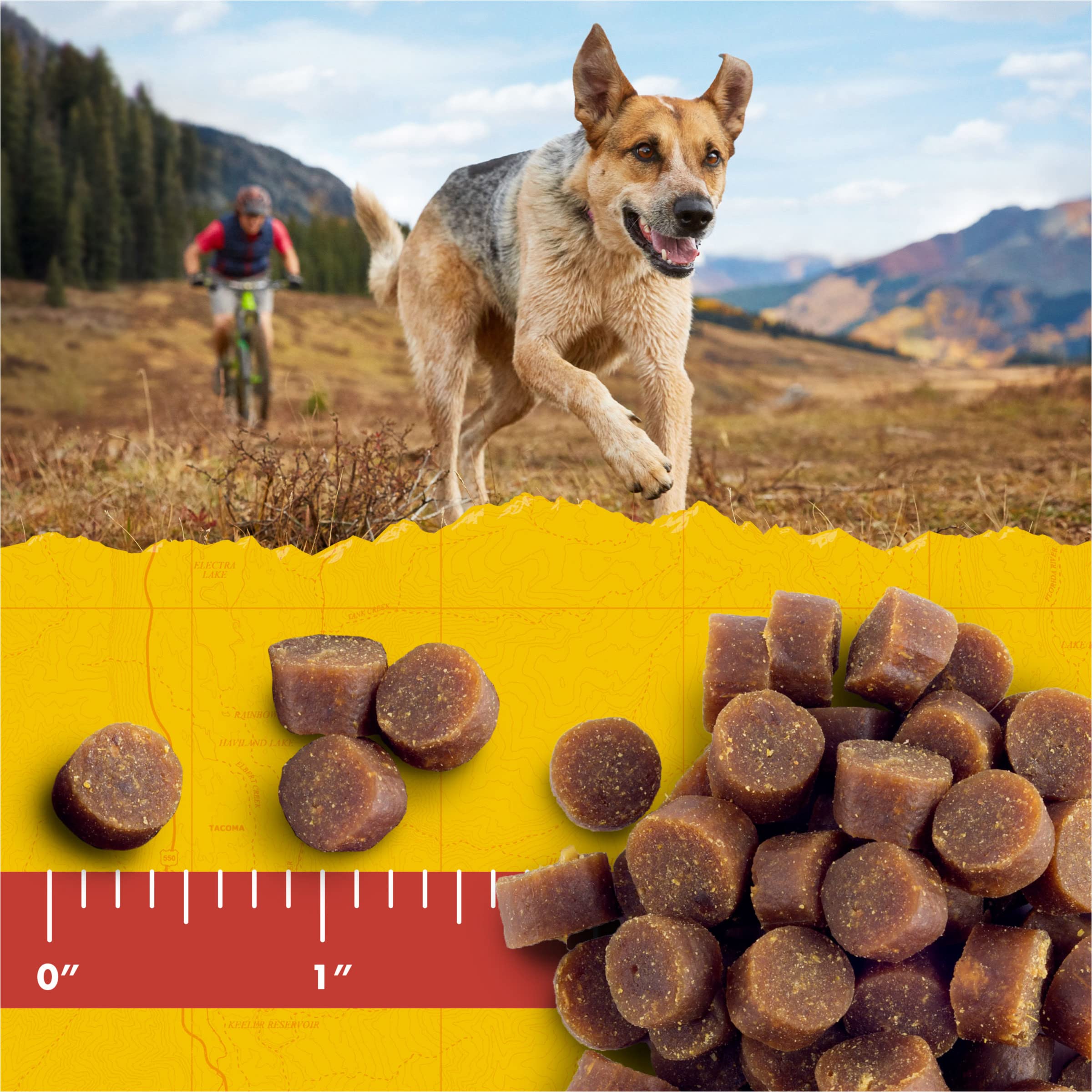 Zuke s Mini Naturals Dog Training Treats, Soft Mini Dog Treats with Vitamins & Minerals, Made for All Breed Sizes Chicken, 16 O