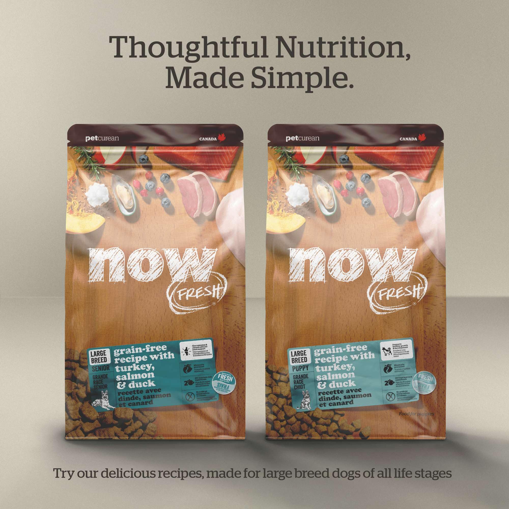 Now Fresh Grain-Free Large Breed Dry Dog Food with Turkey, Salmon & Duck, Premium Kibble for Adults with Real Poultry & Fish, Ch