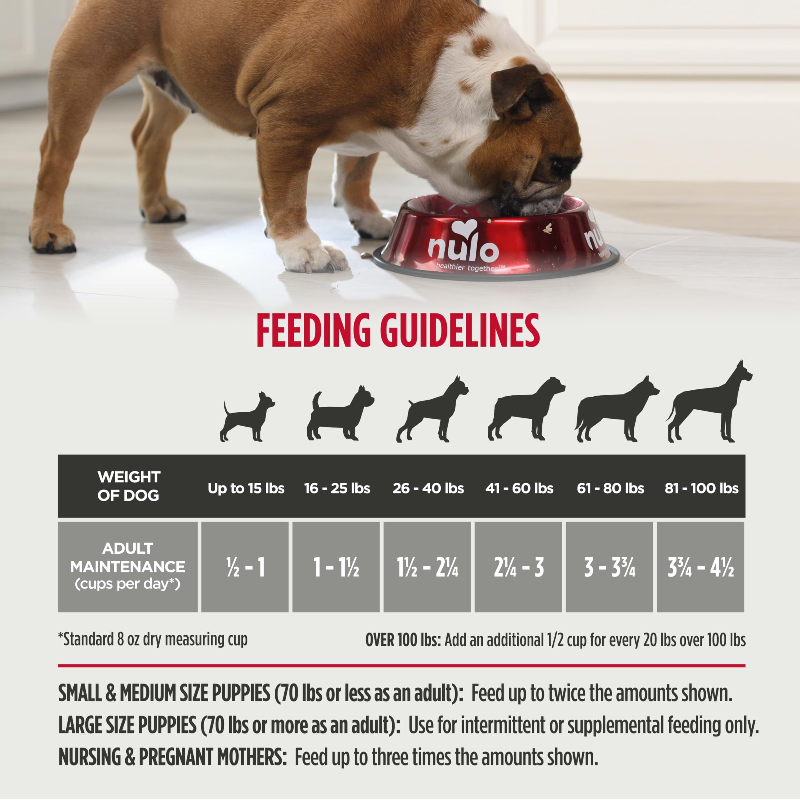 Nulo Freestyle Dry Dog Food - High Protein Lamb Recipe, Grain Free, 5.5lb for Puppies & Adults