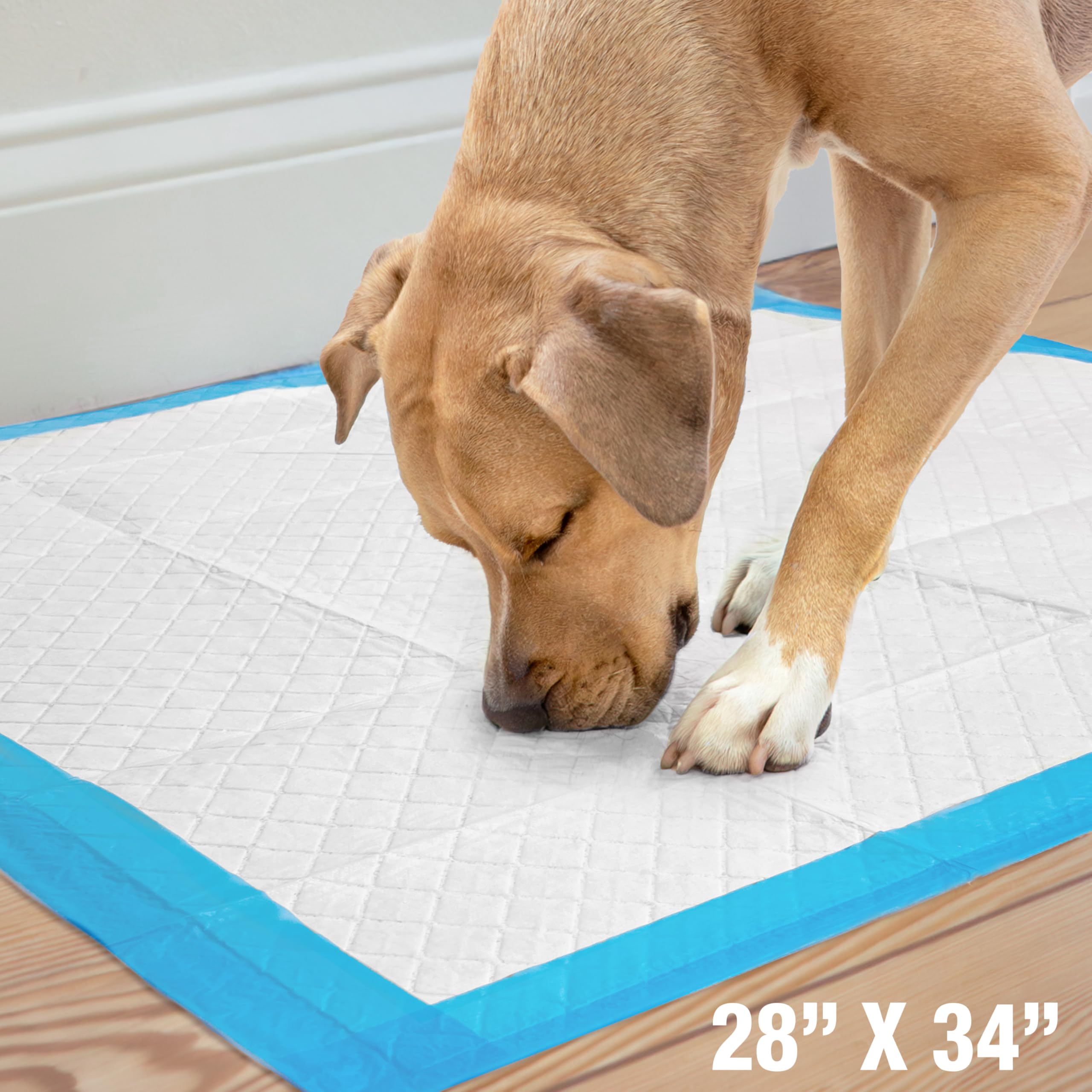 Four Paws Wee-Wee Superior Performance Unscented Extra-Large Pee Pads for Dogs & Puppies, Quilted Leak-Proof Dog Housebreaking P