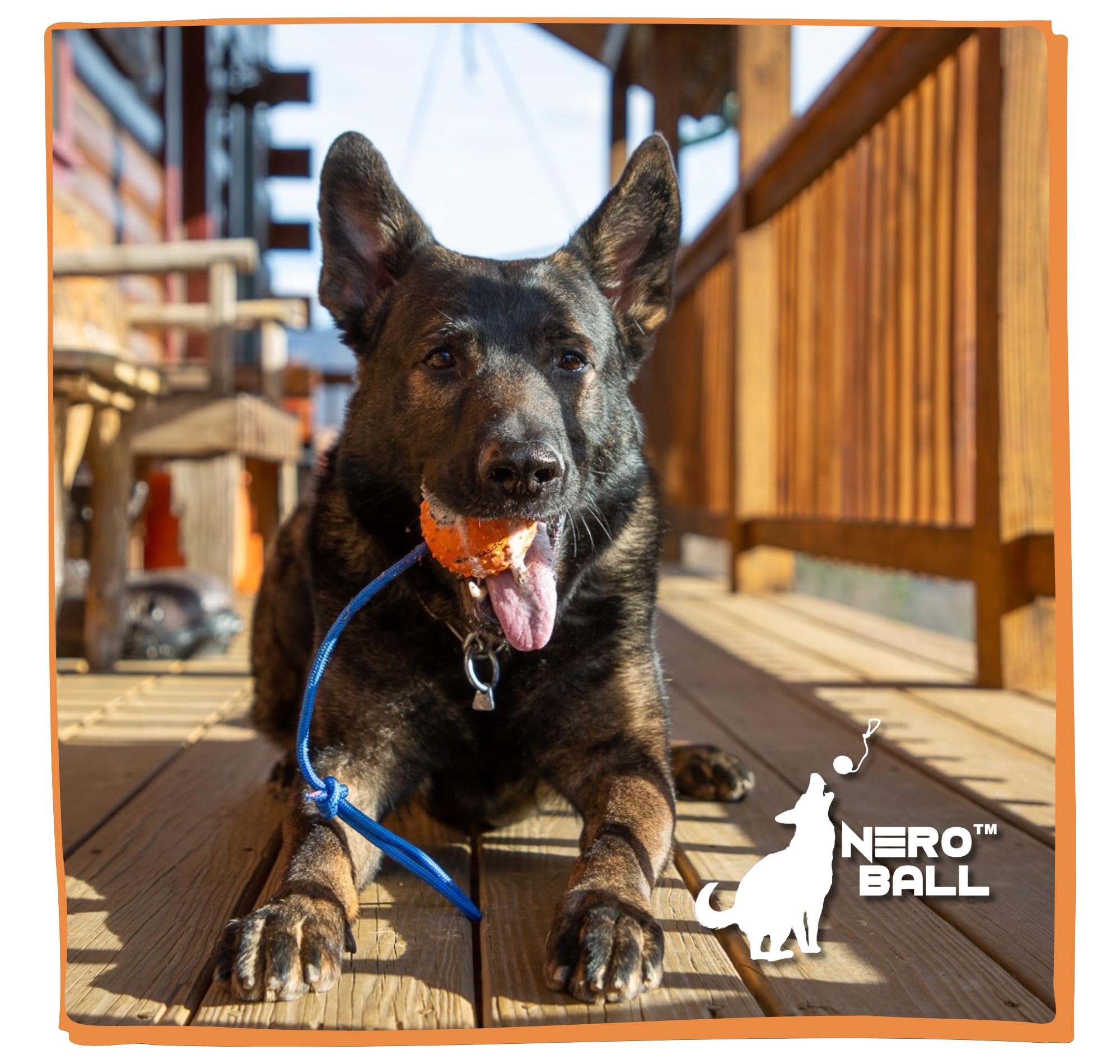 The Nero Ball Classic Tm - K-9 Ball On A Rope Reward And Exercise Rubber Ball - Fetch Ball