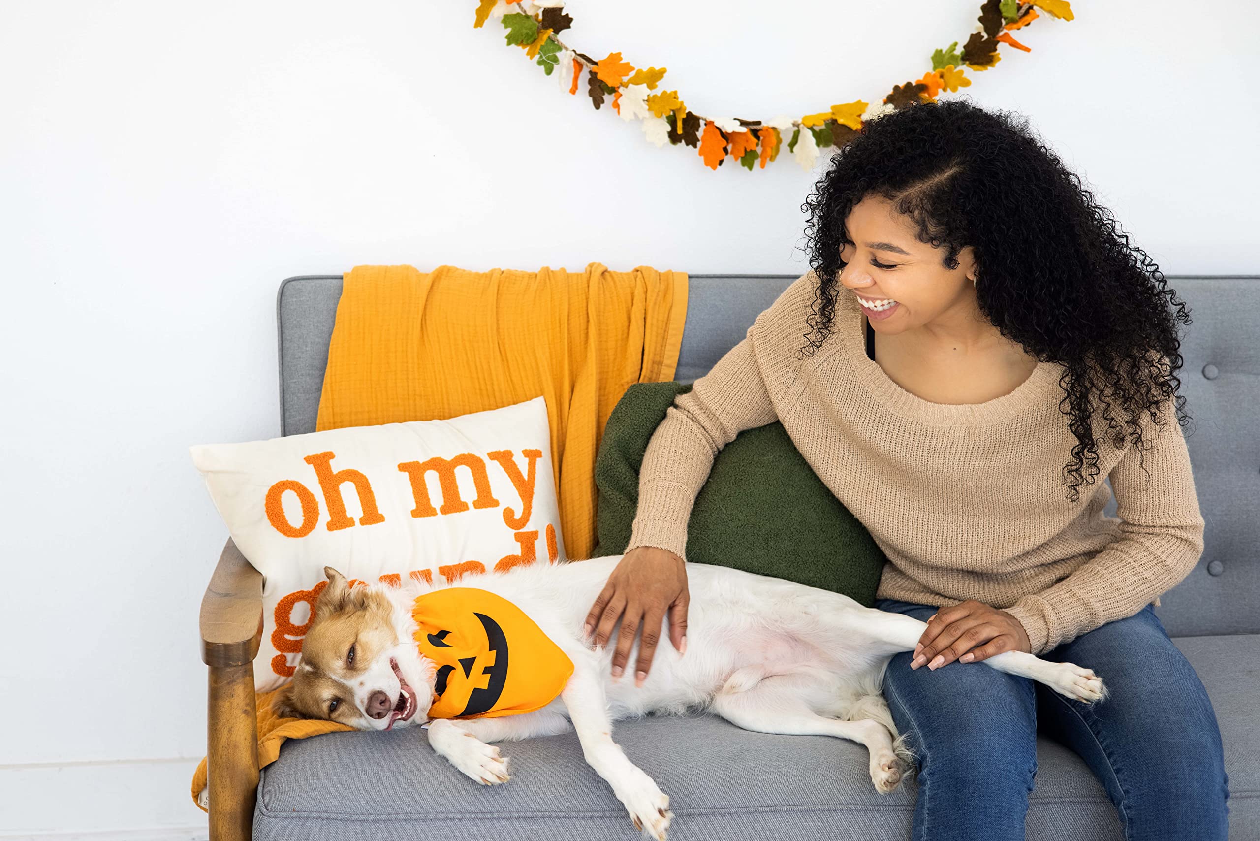 Pearhead Pumpkin Dog Bandana - Fall Dog Apparel, Halloween Costume, Slip On Collar Accessory - Medium/Large