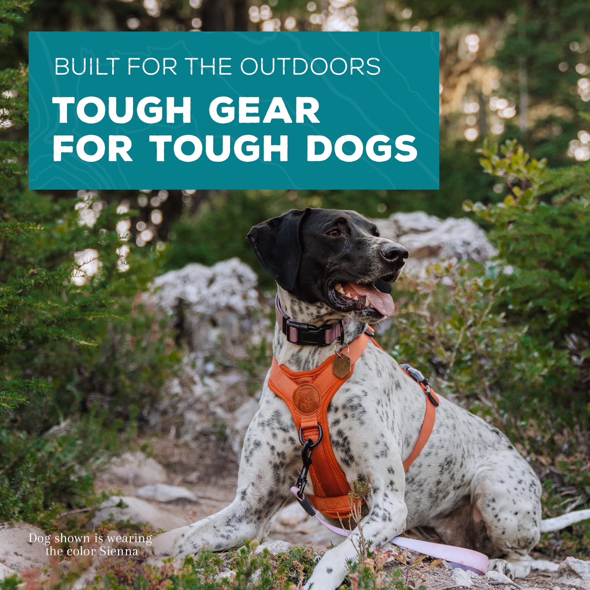 Wilderdog Lightweight Dog Harness - Reflective Straps - Small - Sienna - Polyester Blend
