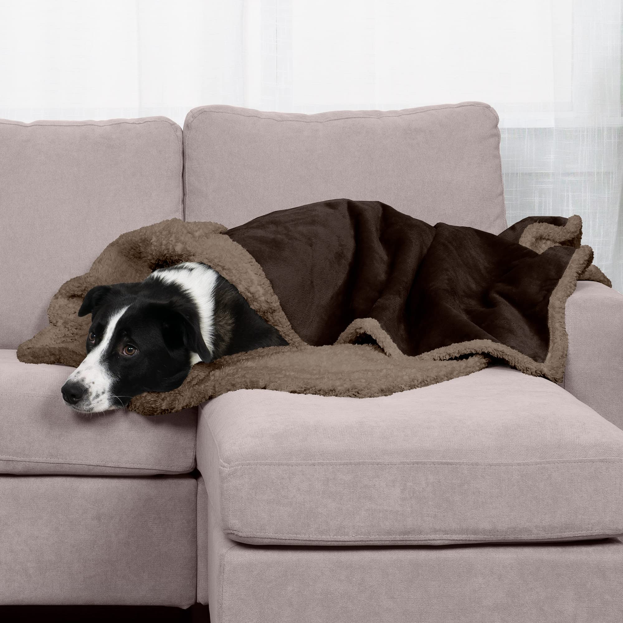 Furhaven Waterproof & Self-Warming Throw Blanket For Dogs & Indoor Cats, Washable & Reflects Body Heat - Soft-Edged Terry & Sher