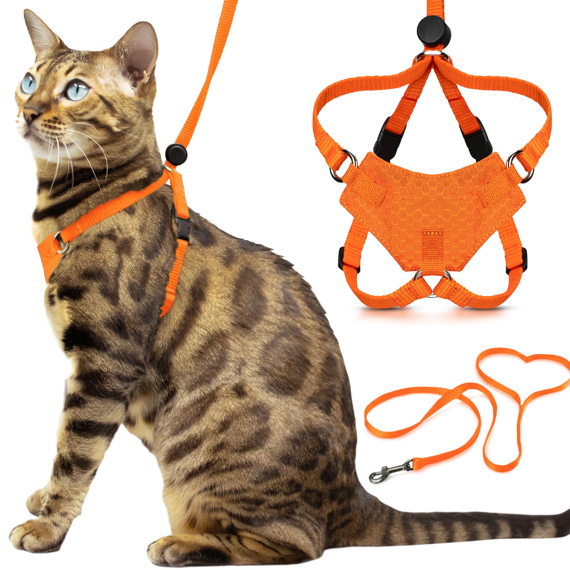 OutdoorBengal Houdini? Escape Proof Kitten Harness and Leash (Orange, S)