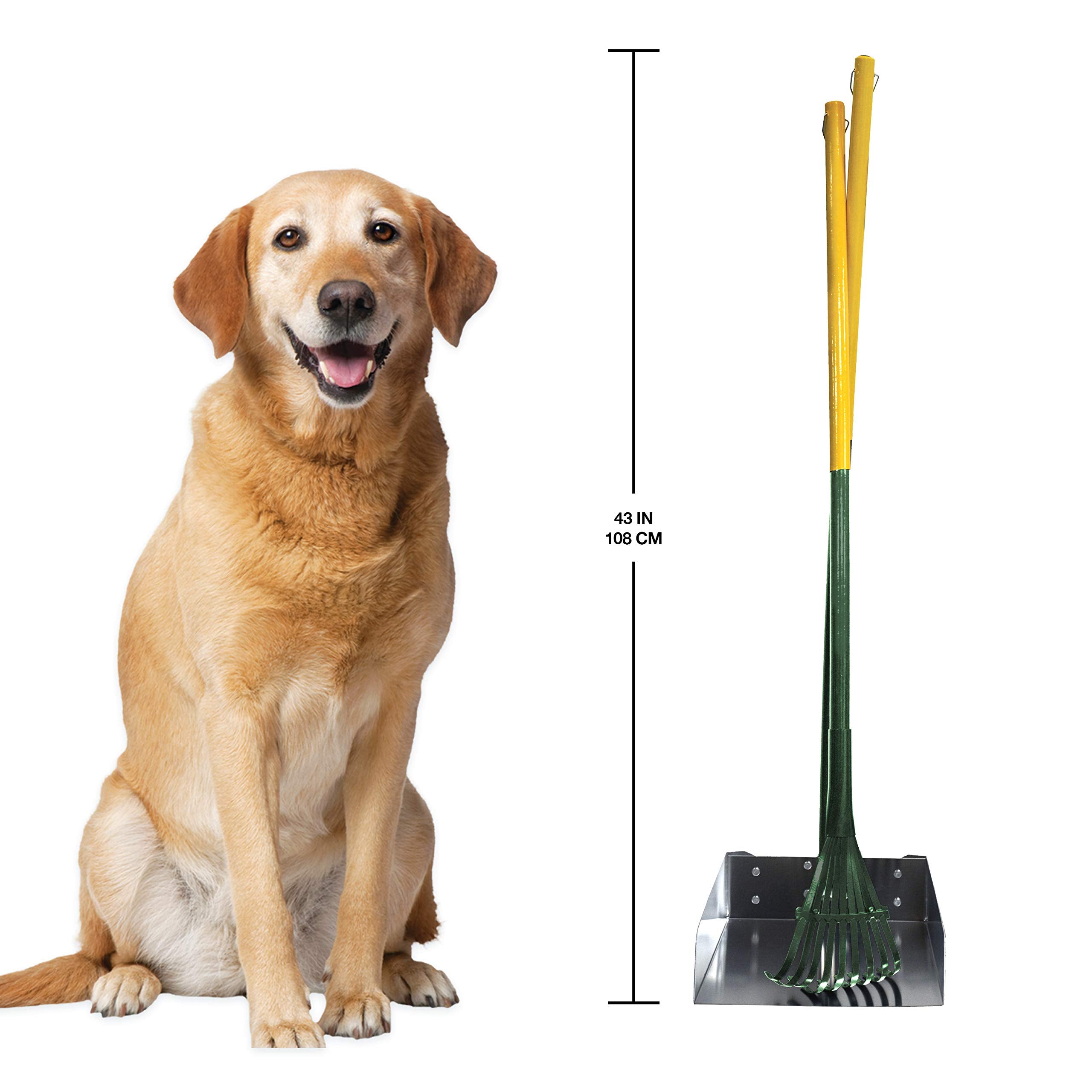 Four Paws Stainless Steel Dog Pooper Scooper Rake & Pan Set, 38" x 10", Large, Green, Model 100203168