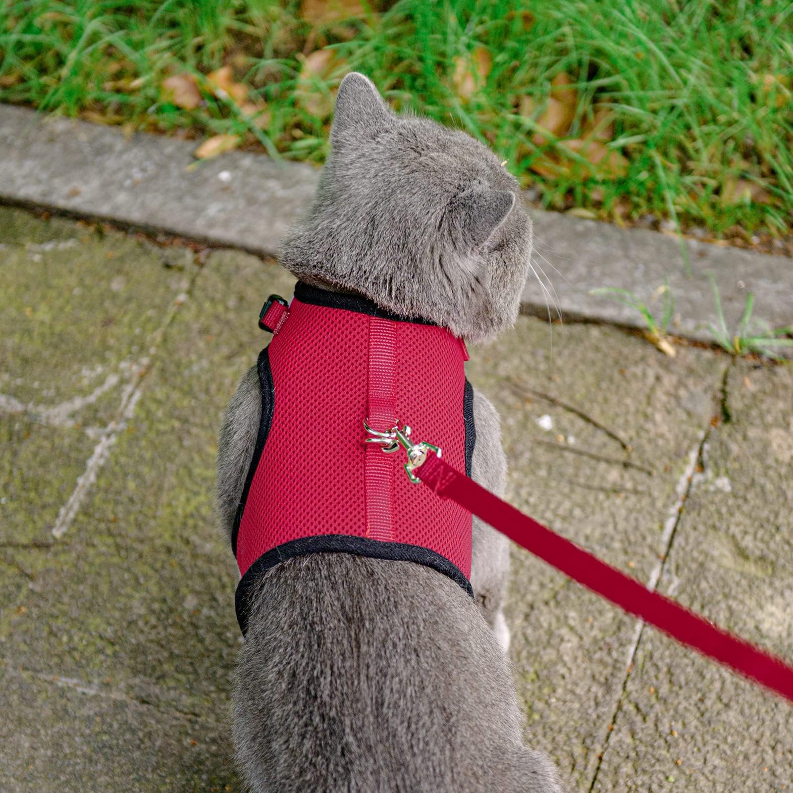 Pupteck Soft Mesh Cat Vest Harness And Leash Set Puppy Padded Pet Harnesses Escape Proof For Cats Small Dogs, Red Small