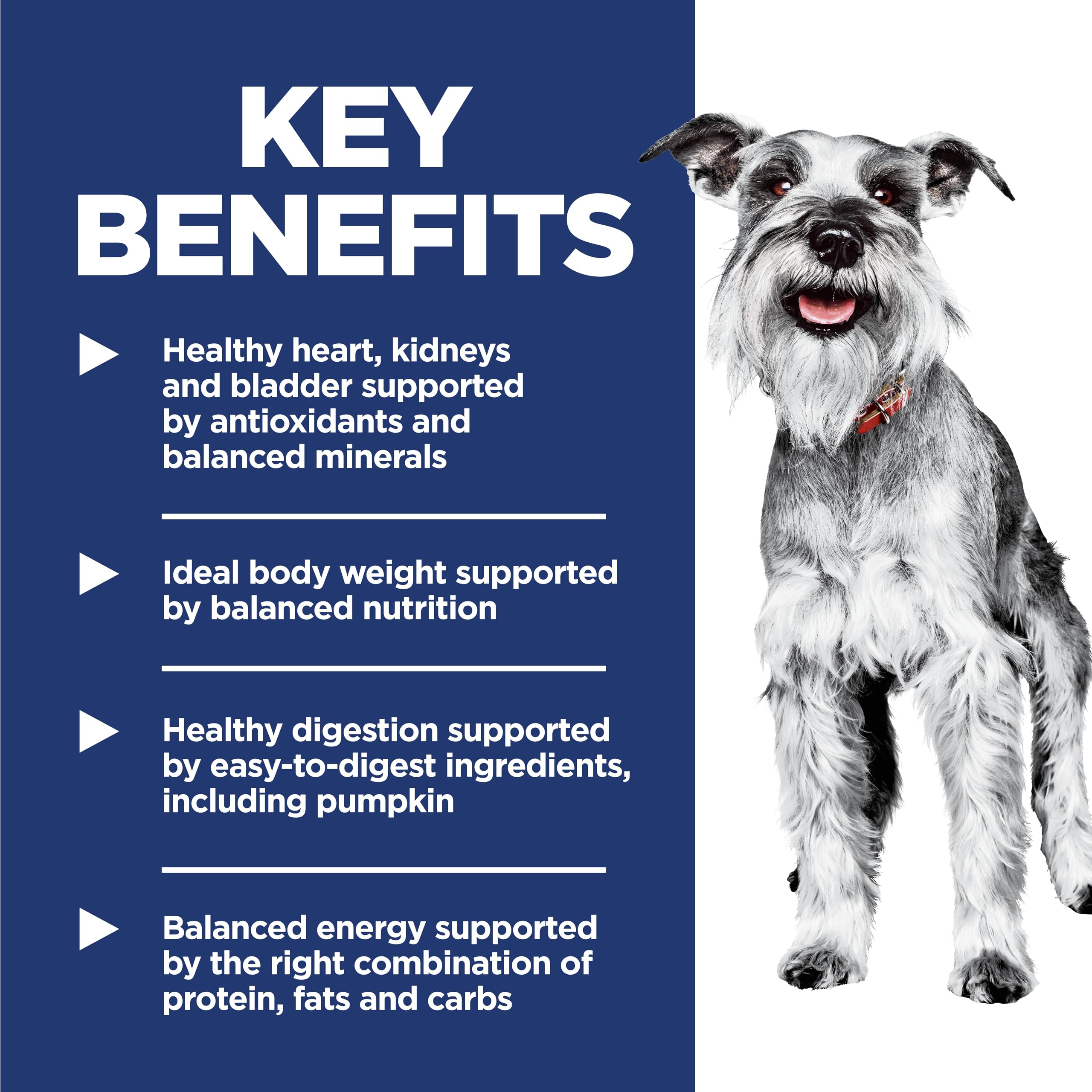 Hills Science Diet Small & Mini, Senior Adult 7+, Small & Mini Breeds Senior Premium Nutrition, Dry Dog Food, Chicken, Brown Ri