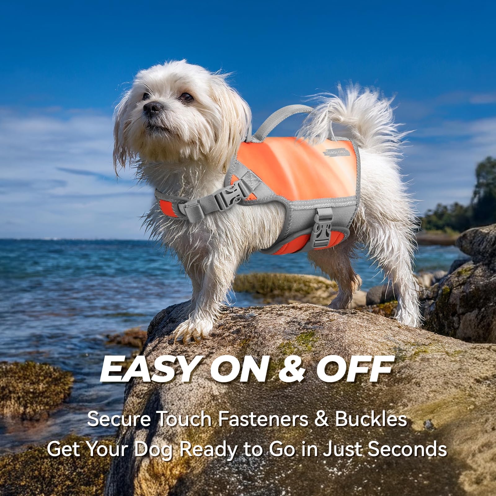 Vivaglory Neoprene Dog Life Jacket Puppy Life Jacket For Boating Hunting & Swimming, Lightweight With Leash Ring, Xs, Orange Sun