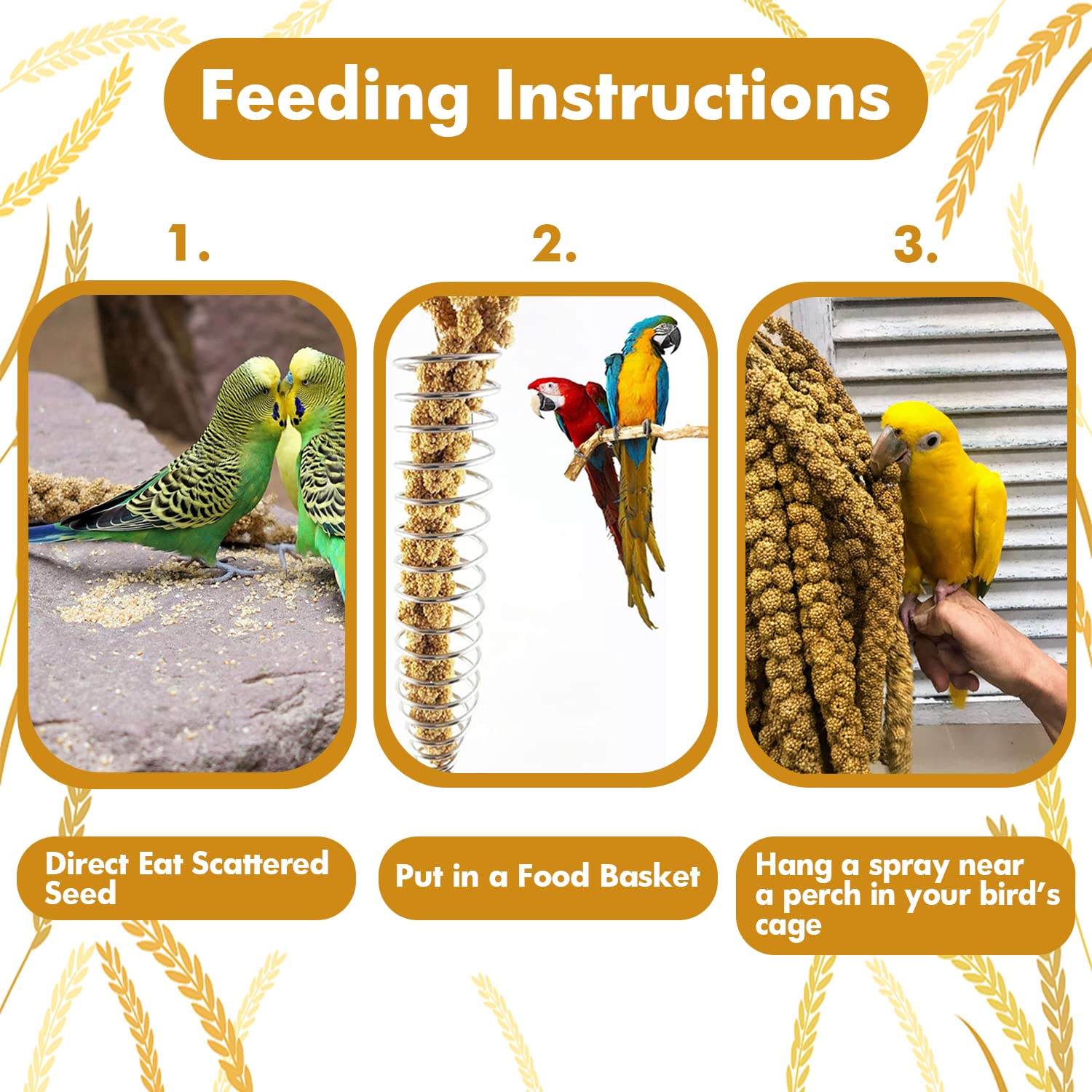 Jmxus 2LB Spray Millet Treat for Birds Parakeets, Natural Sun-Dried Birds Millet for Cockatiel, Finches, Parrots, Hamster