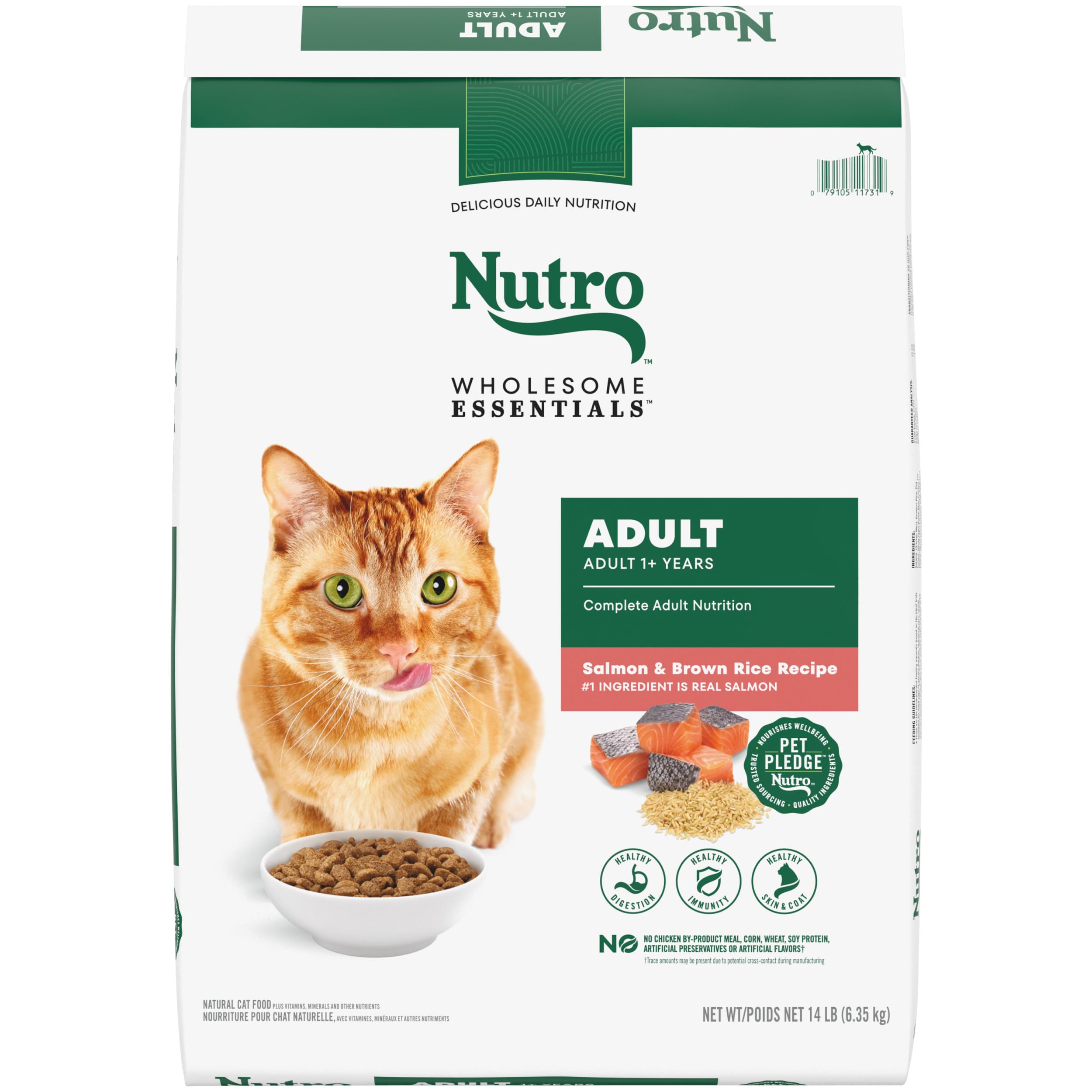 NUTRO WHOLESOME ESSENTIALS Adult Natural Dry Cat Food Salmon & Brown Rice Recipe, 14 lb. Bag