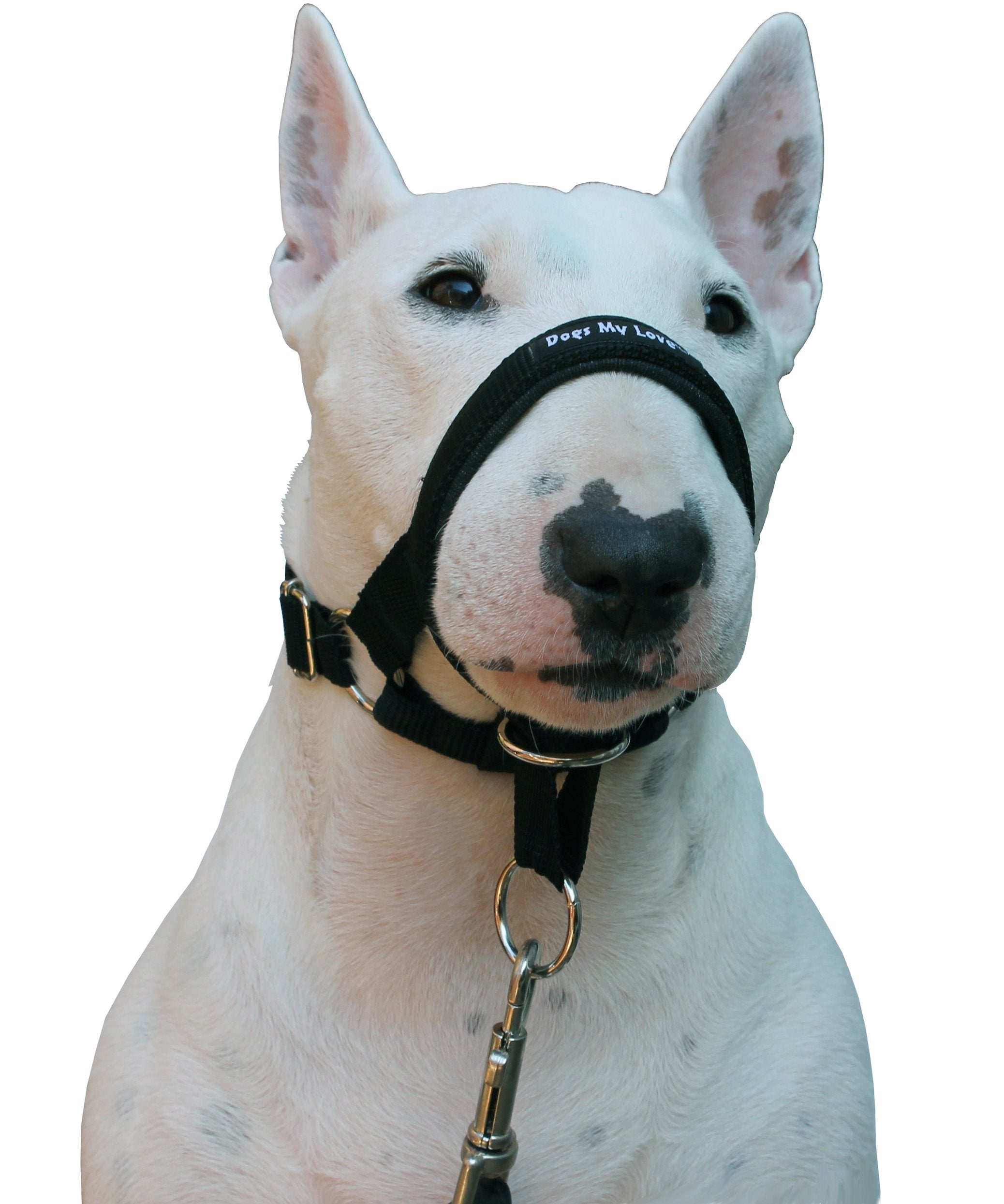Dog Head Collar Halter Black (Xl 12Inch14.25Inch Snout)