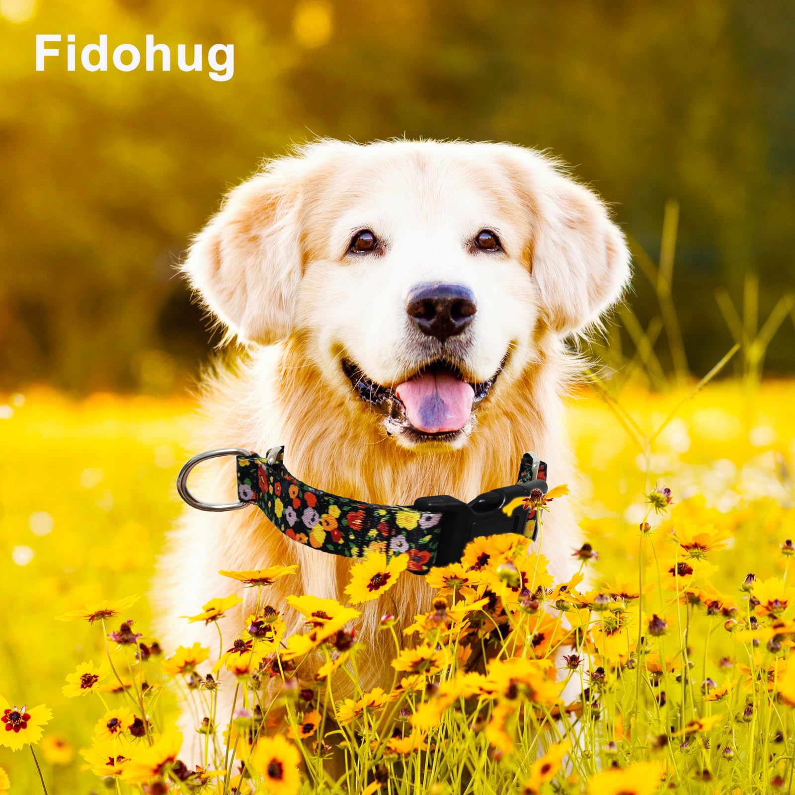 Fidohug Martingale No Pull Collar With Buckle Adjustable Nylon Slip Collar For Dogs Training Walking (Orange Floral, Small)