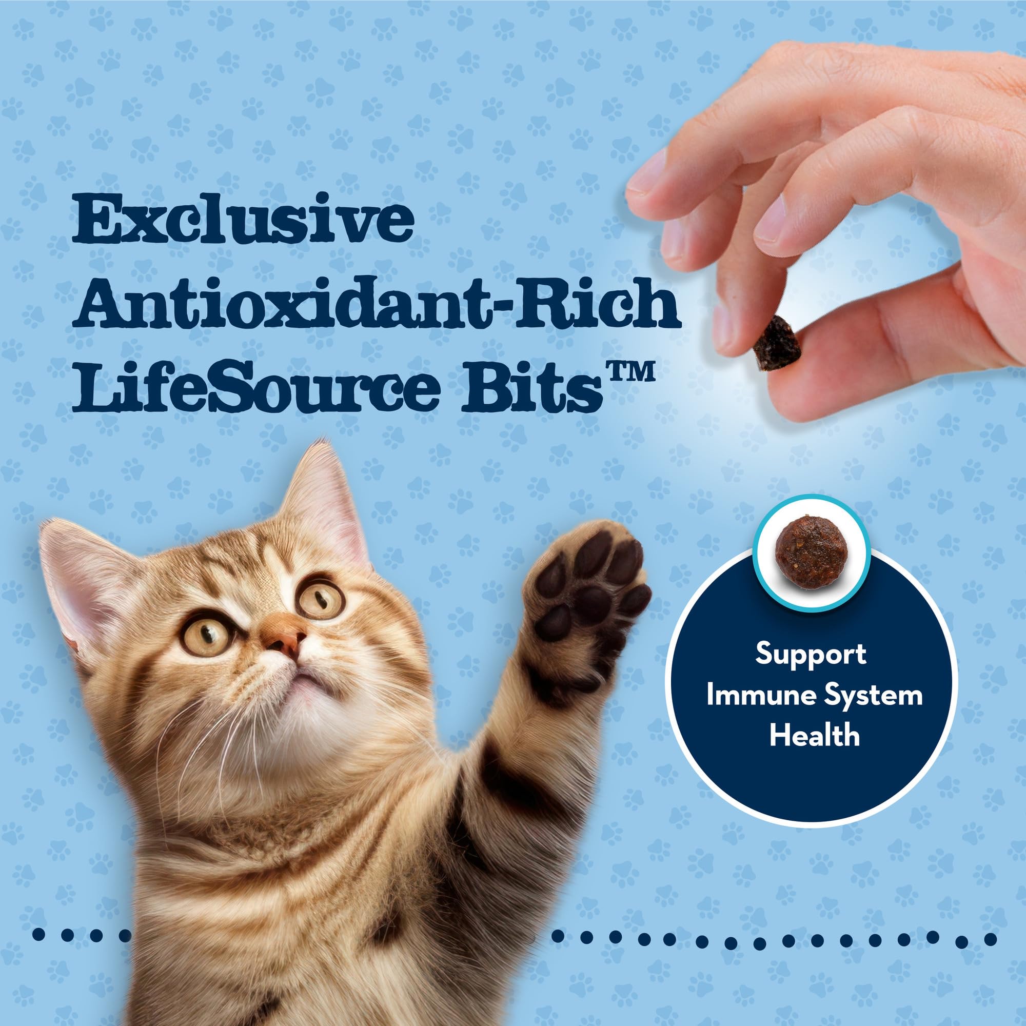 Blue Buffalo Baby BLUE Natural Grain-Free Dry Food for Kittens, Healthy Growth Formula with DHA, High-Protein Savory Chicken Rec