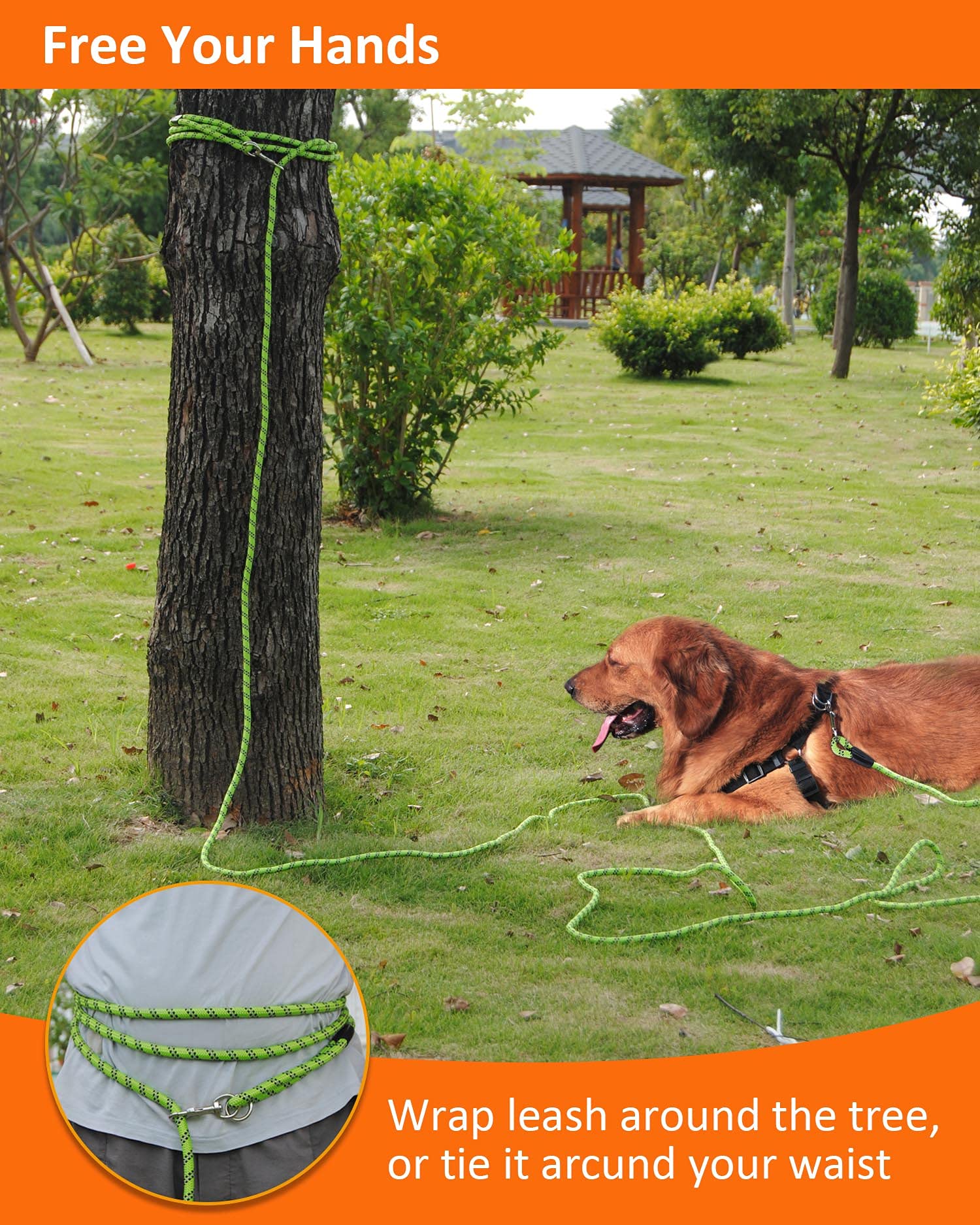 Lanwandeng Long Dog Leash, Heavy Duty Reflective Check Cord, 50FT Green for Training & Outdoor Activities