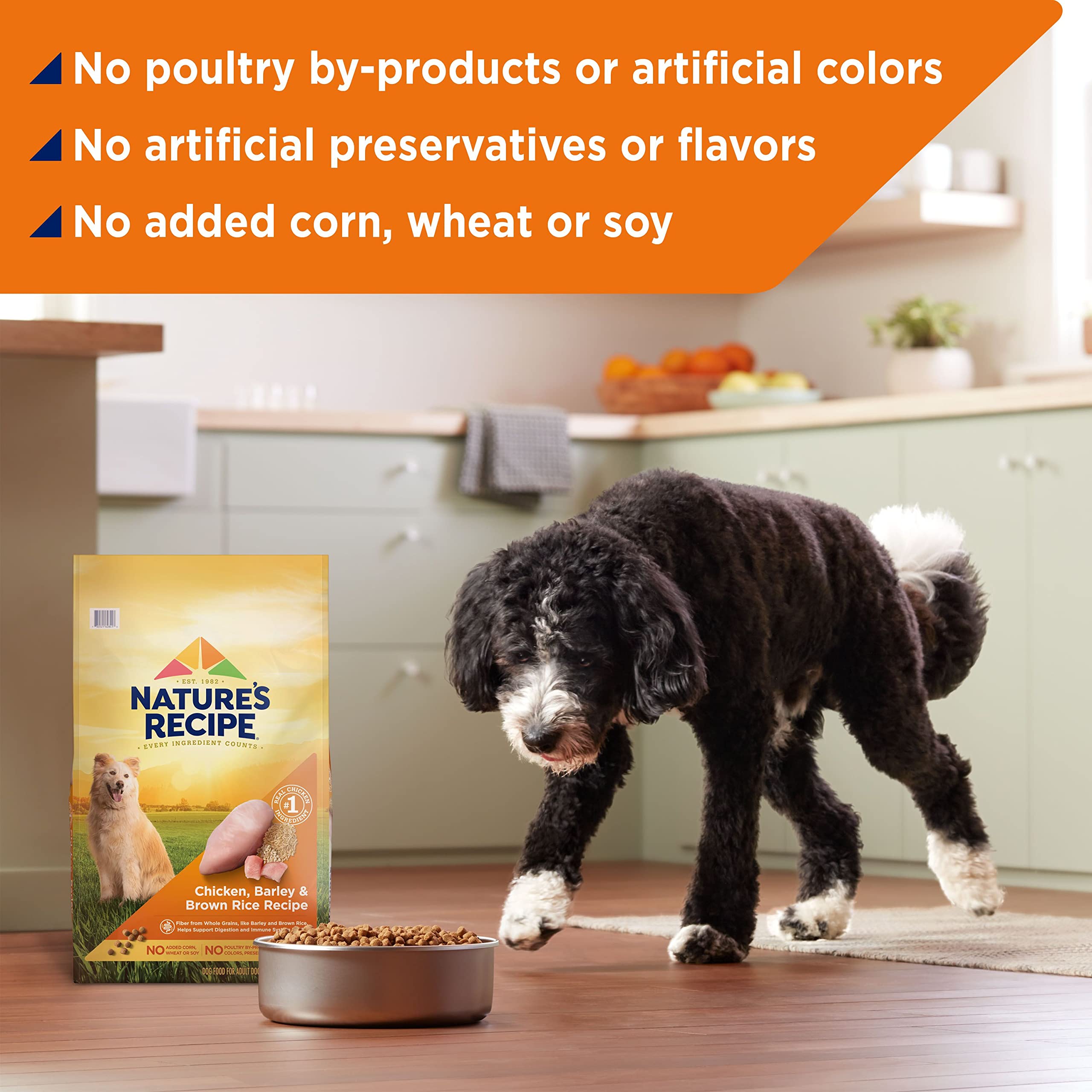 Natures Recipe Chicken, Barley & Brown Rice Recipe Dry Dog Food, 24 lb. Bag