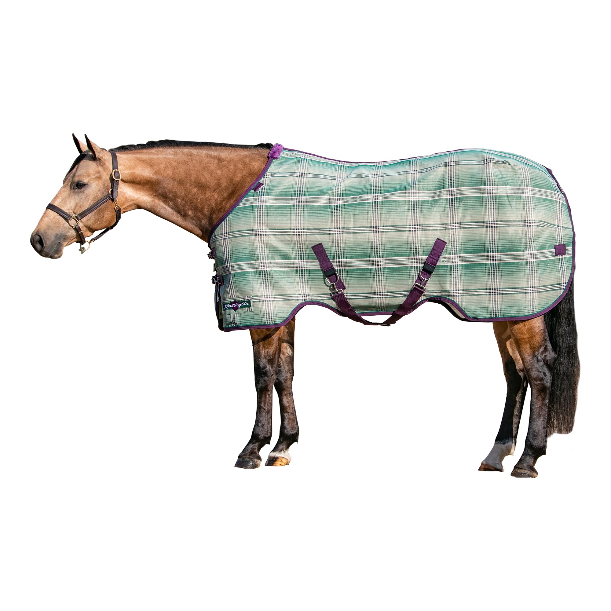 Kensington Breathable And Uv Protective Sheet Surefit All Season Protection For Horse - 84'', Imperial Jade