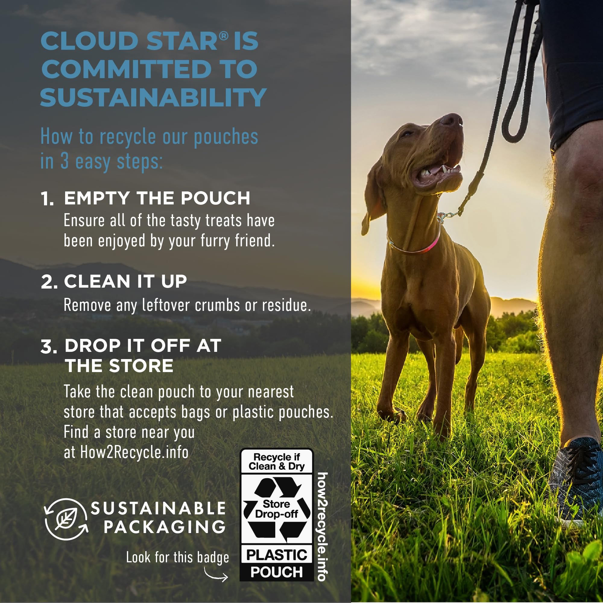 Cloud Star Tricky Trainers Soft & Chewy Dog Training Treats 5 oz Pouch, Salmon Flavor, Low Calorie Behavior Aid with 130 treats