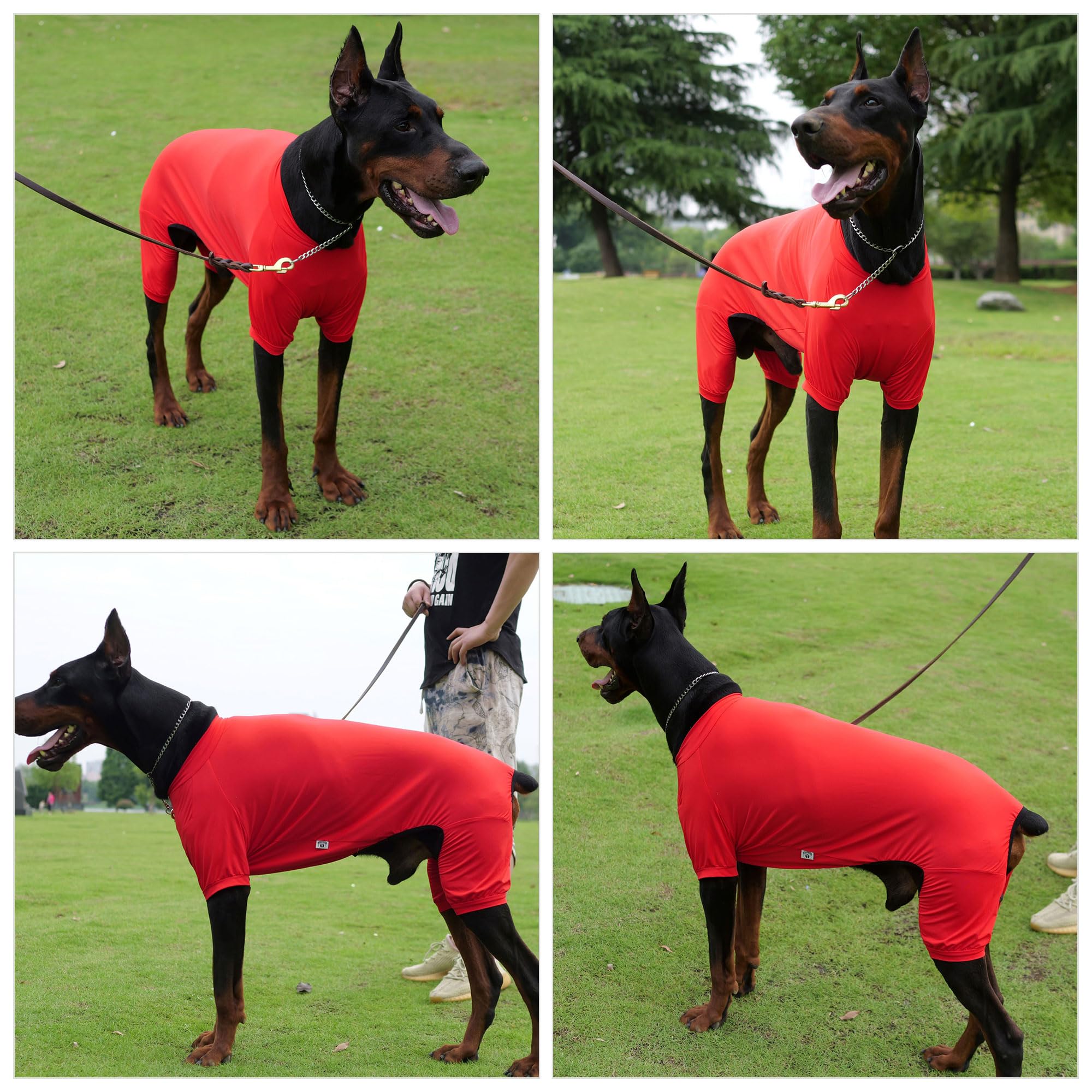 Lovelonglong Dog Jumpsuit With Uv Protection And Quick-Dry Fabric For Spring Summer Pet Pajamas Red S