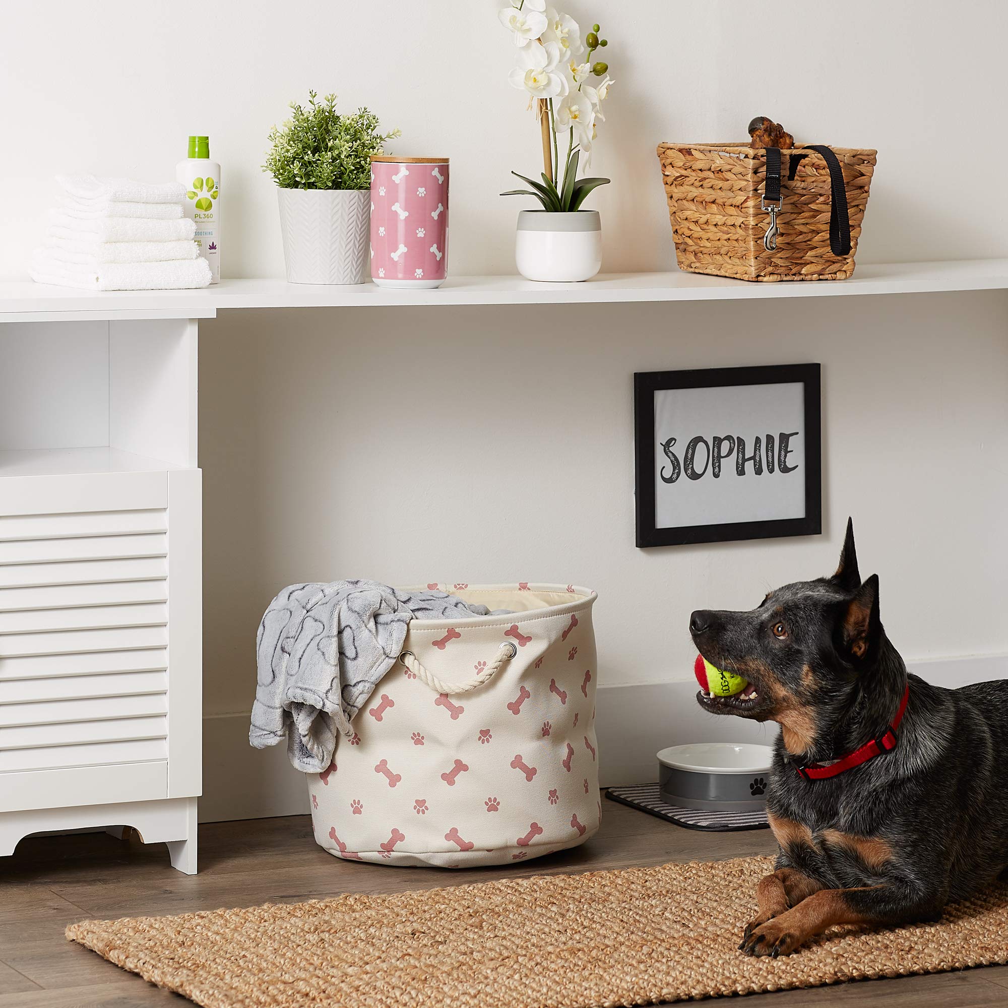 Bone Dry Pet Storage Collection Paw and Bone Print, Rose, Medium Round
