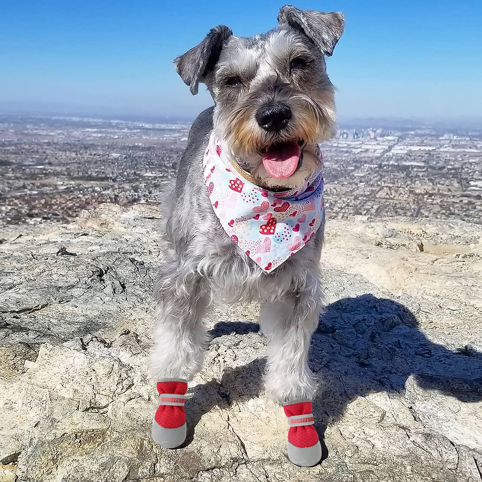 Qumy 2Pcs Small Dog Shoes For Hot Pavement Summer Puppy Dog Booties With Reflective Strip Soft Comfortable Anti-Slip Rubber Sole Red Size 4