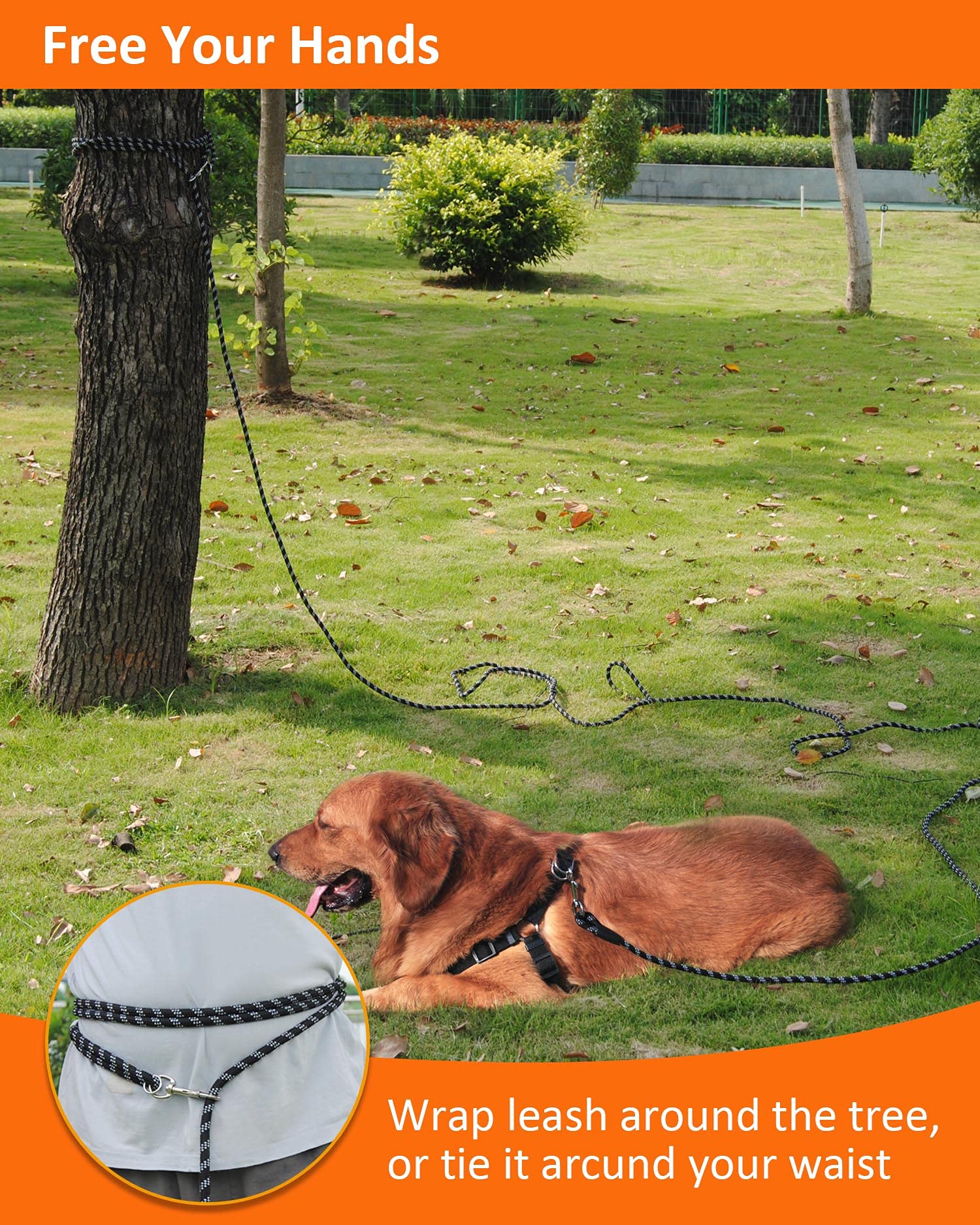 Long Dog Leash For Dog Training 20Ft, Heavy Duty Dog Lead For Large Medium Small Dogs Outside Walking, Playing, Camping, Or Yard, Black