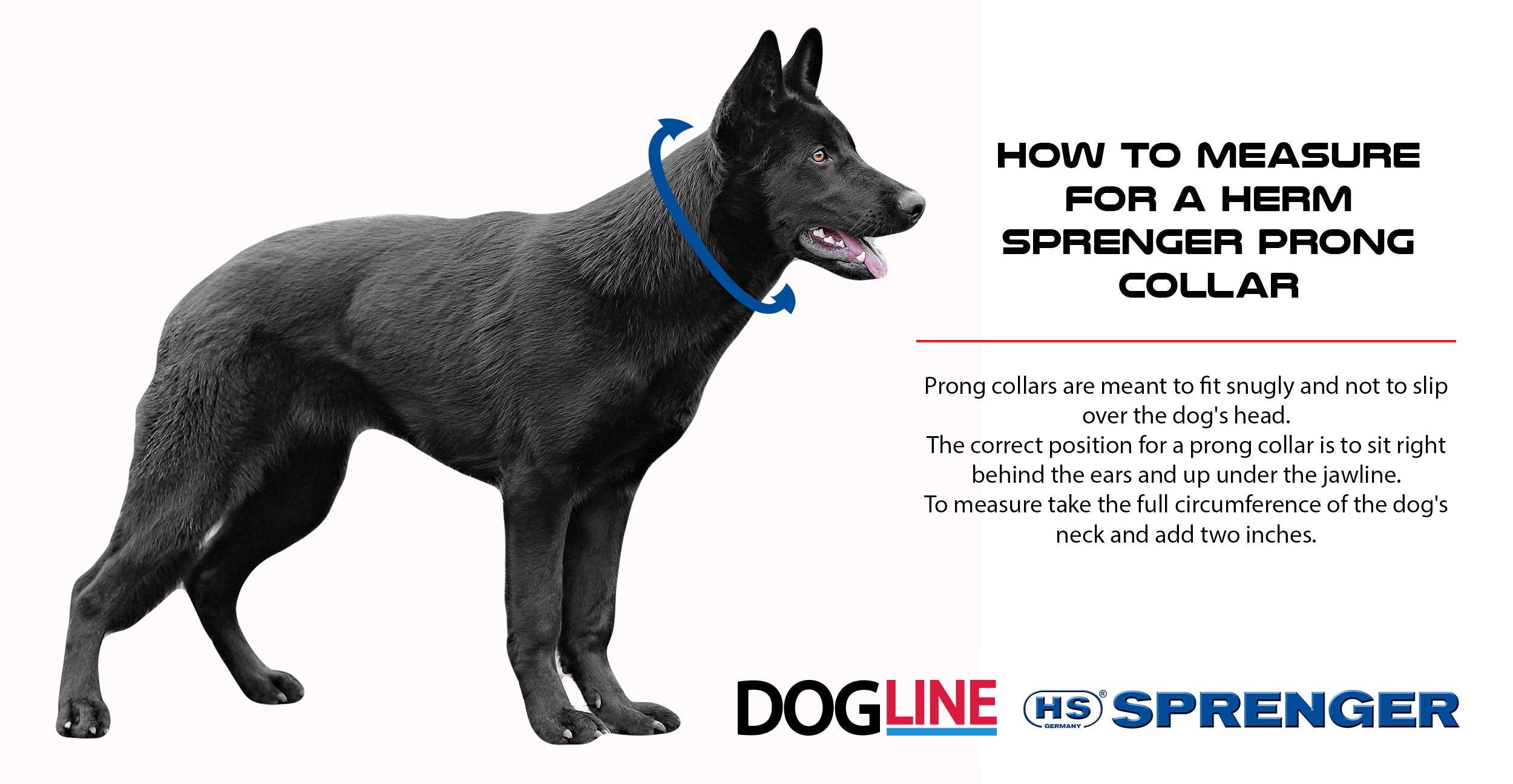 Dogline Herm Sprenger Black Stainless Steel Prong Dog Training Collar, 23in x 3.2mm, No-Pull, Made in Germany