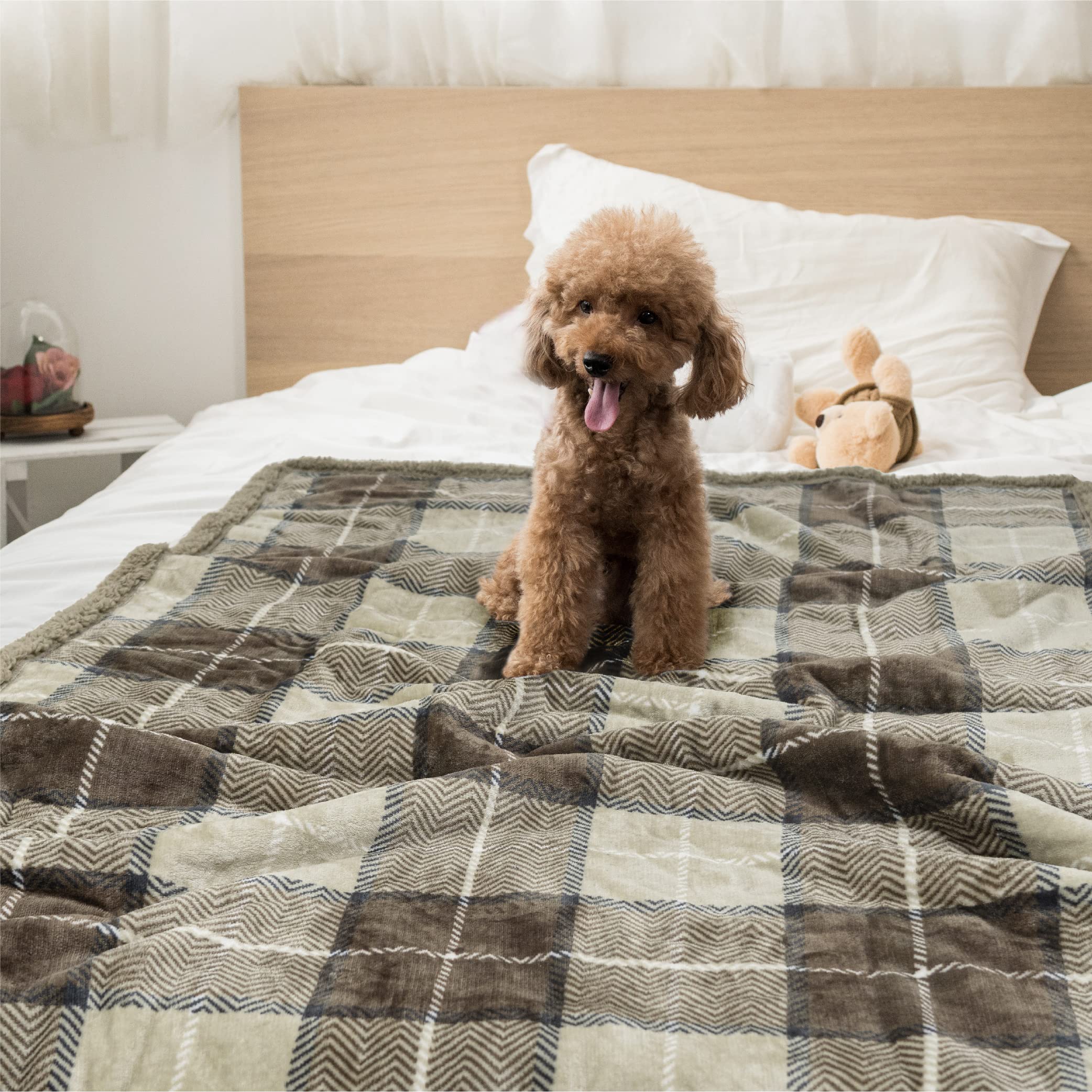 PetAmi Waterproof Dog Blanket for Medium Large Dog, Pet Puppy Blanket Couch Cover Protection, Sherpa Fleece Cat Blanket, Sofa Be