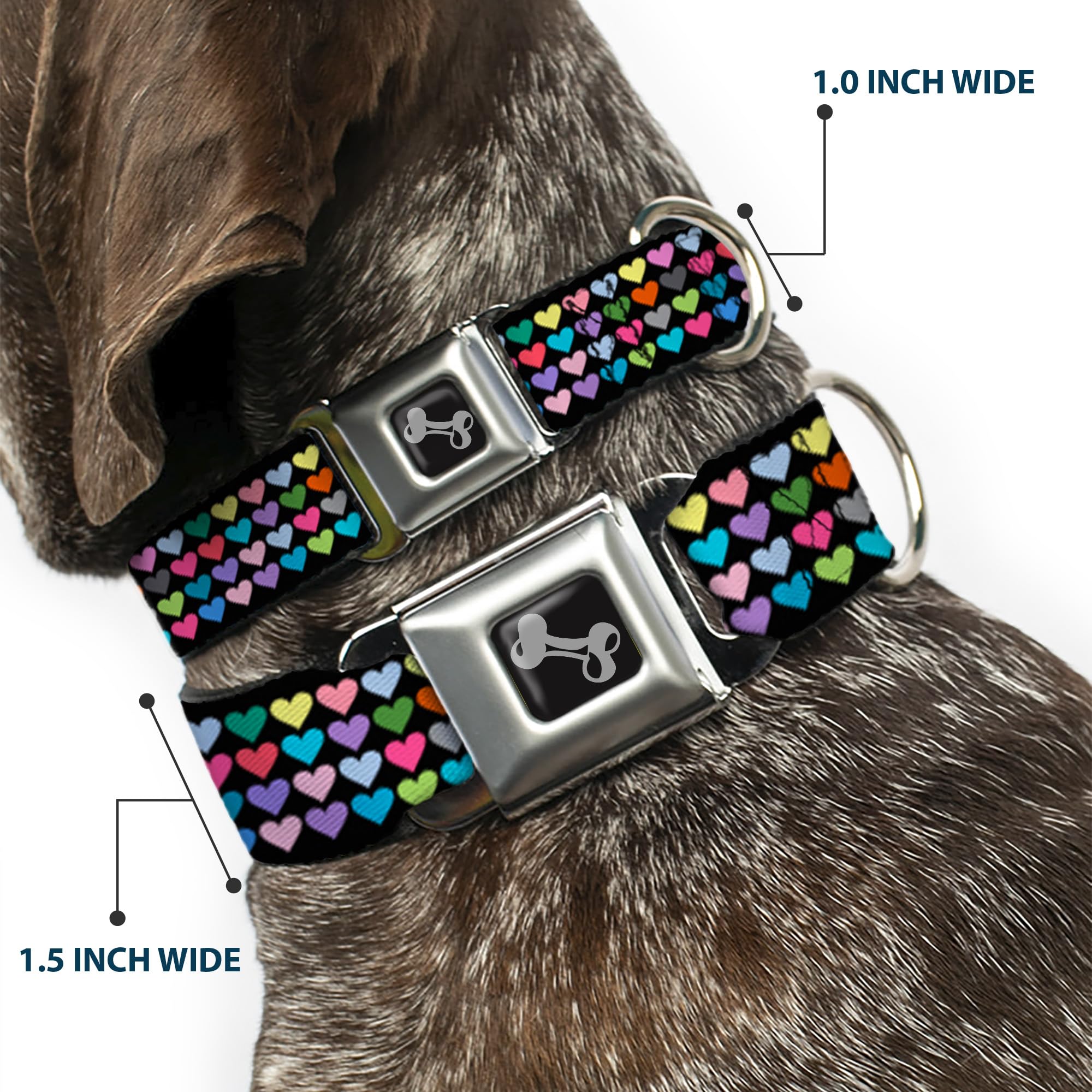 Buckle-Down 15-26 Mini Hearts Black/Multi Color Dog Collar Bone, Large