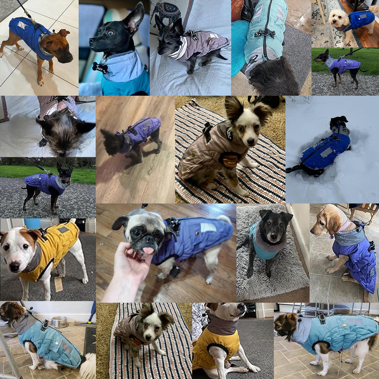 Gyuzh Dog Coat - Adjustable Reflective Winter Jacket With Pockets, Faux Fur Collar - Waterproof For Small, Medium & Large Dogs (