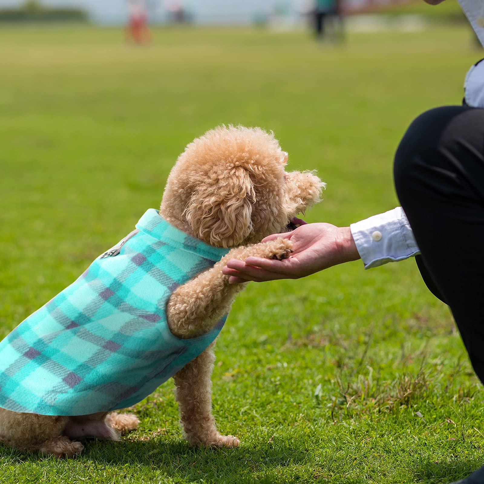 Weewooday 4 Pieces Winter Fabric Dog Sweaters With Leash Ring Soft Fleece Vest Pullover Pet Jacket Warm Dog Clothes Coats For Pe