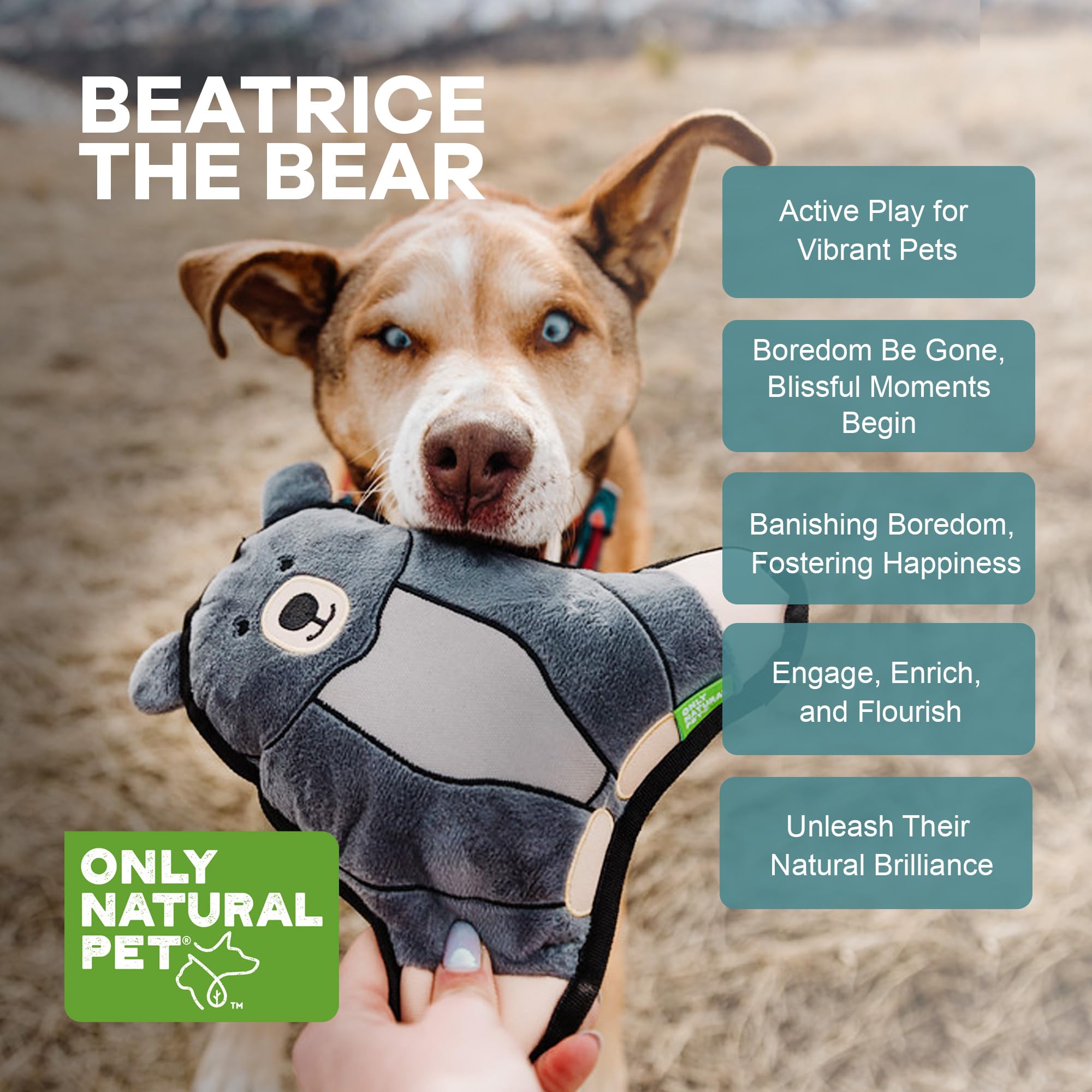 Only Natural Pet Mountain Friends Recycled Plush Dog Toys - Durable Double-Stitched Design with Internal Squeaker & Crinkly Ears