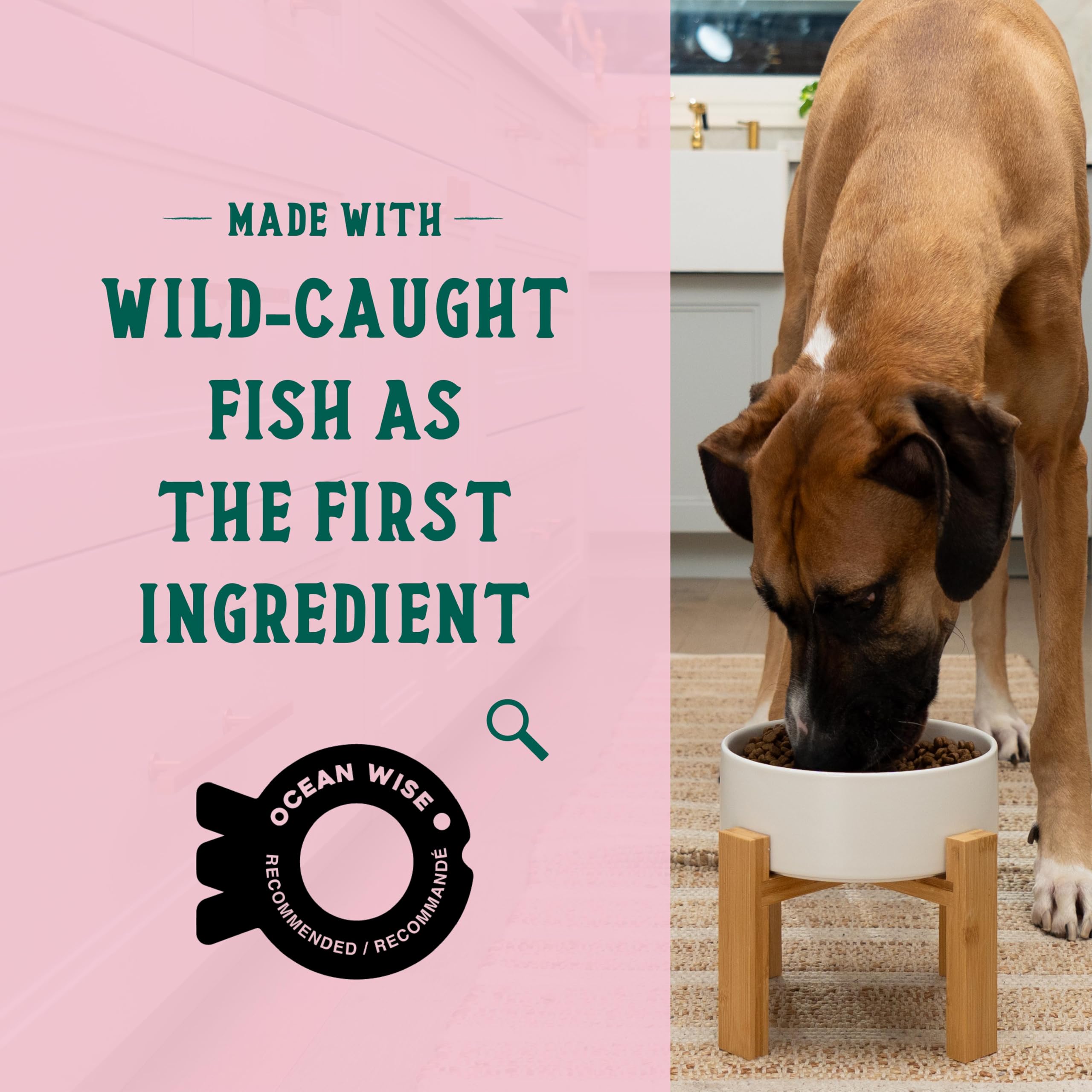 Open Farm Goodbowl, Oven-Baked Small Batch Dry Dog Food - Wild Caught Salmon & Brown Rice Recipe, Includes Non-GMO Produce & Gra