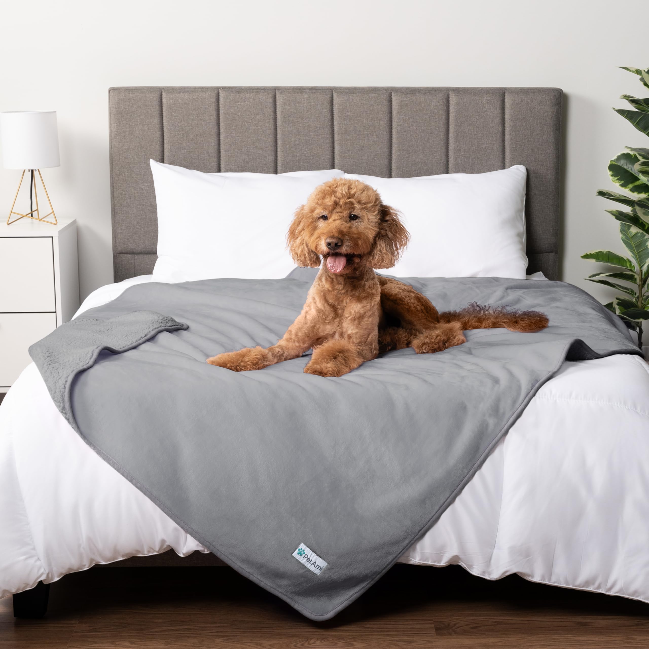 Petami Waterproof Dog Blanket For Extra Large Dogs, Pee Proof Pet Blanket For Bed Couch, Reversible Water Proof Blanket For Puppy Indoor Cat, Soft Dog Crate Cover Washable, Queen 90X90 Light Gray