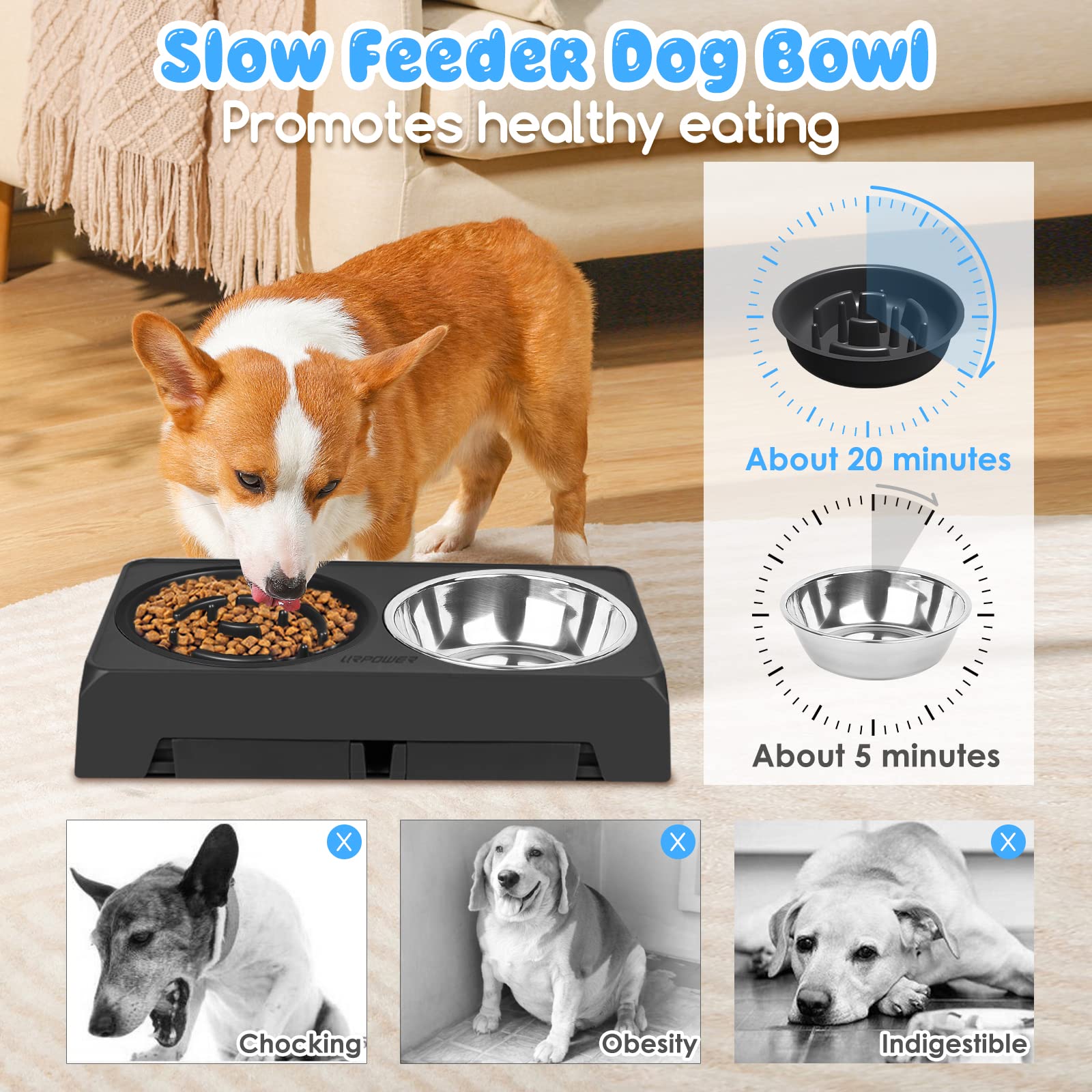 URPOWER Raised Slow Feeder Dog Bowls 4 Height Adjustable Elevated Bowl Stand with Stainless Steel Water Bowl and Slow Feeder Non