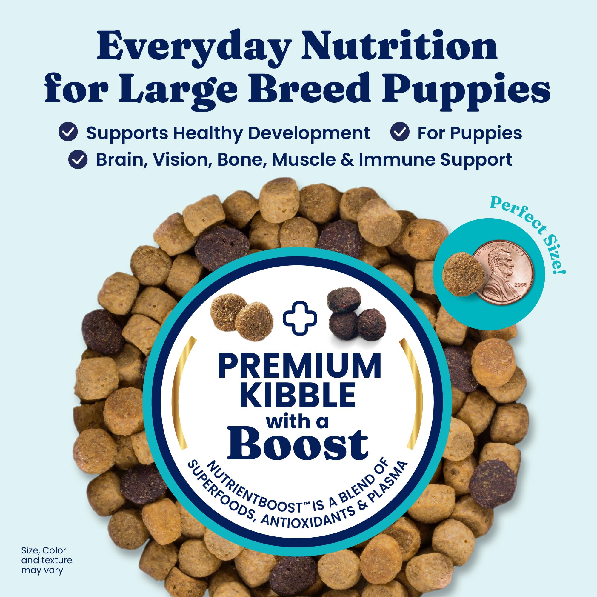 Solid Gold Large Breed Puppy Dog Food Dry Kibble - High Protein Dry Puppy Food for Large Breed Dogs w/Real Bison, Healthy Whole