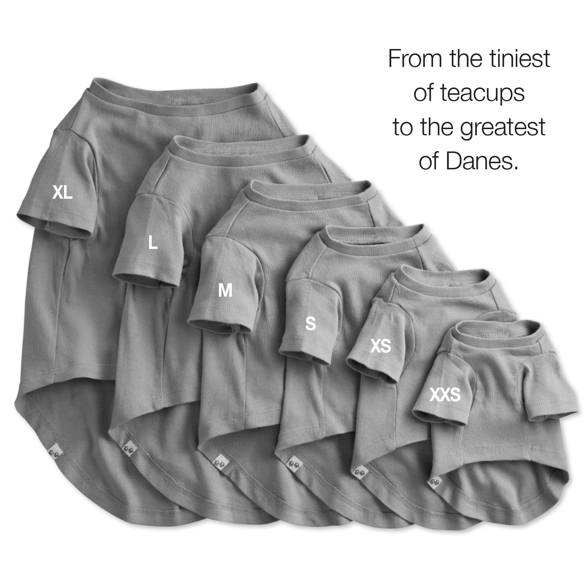 Pet Passion Multipack 100% Organic Cotton Dog Short Sleeve T-Shirt Pet Tees For All Breeds, Gray Ombre, Small