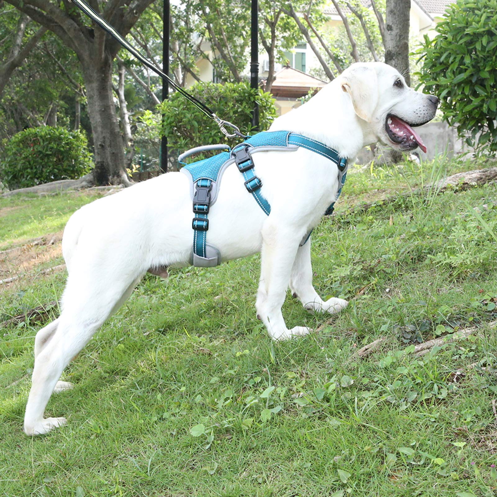 Belpro Multi-Use Support Dog Harness, Escape Proof No Pull Reflective Adjustable Vest With Durable Handle, Dog Walking Harness For Big/Active Dogs (Blue, S)