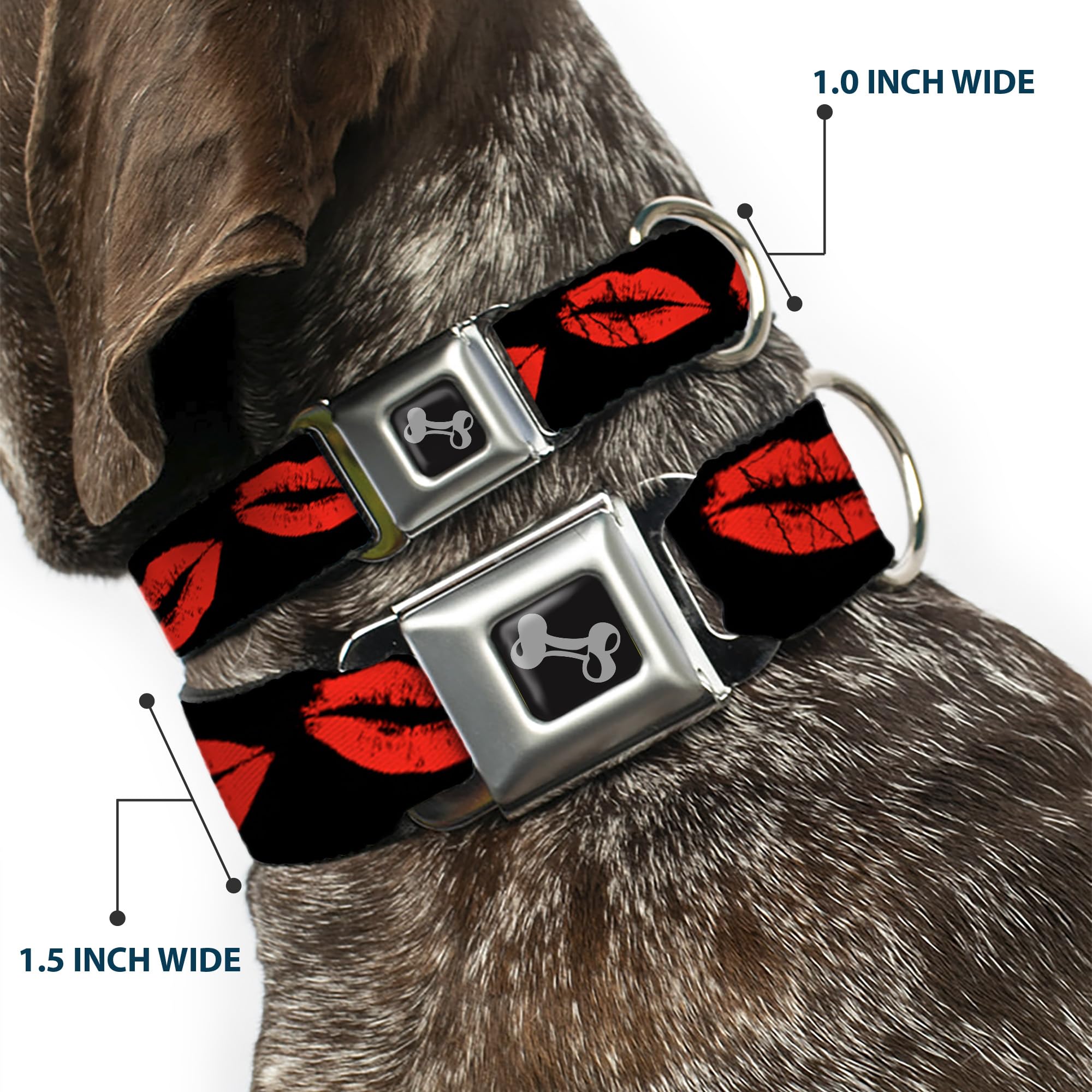 Buckle-Down Seatbelt Buckle Dog Collar - Kisses - 1.5 Wide - Fits 16-23 Neck - Medium